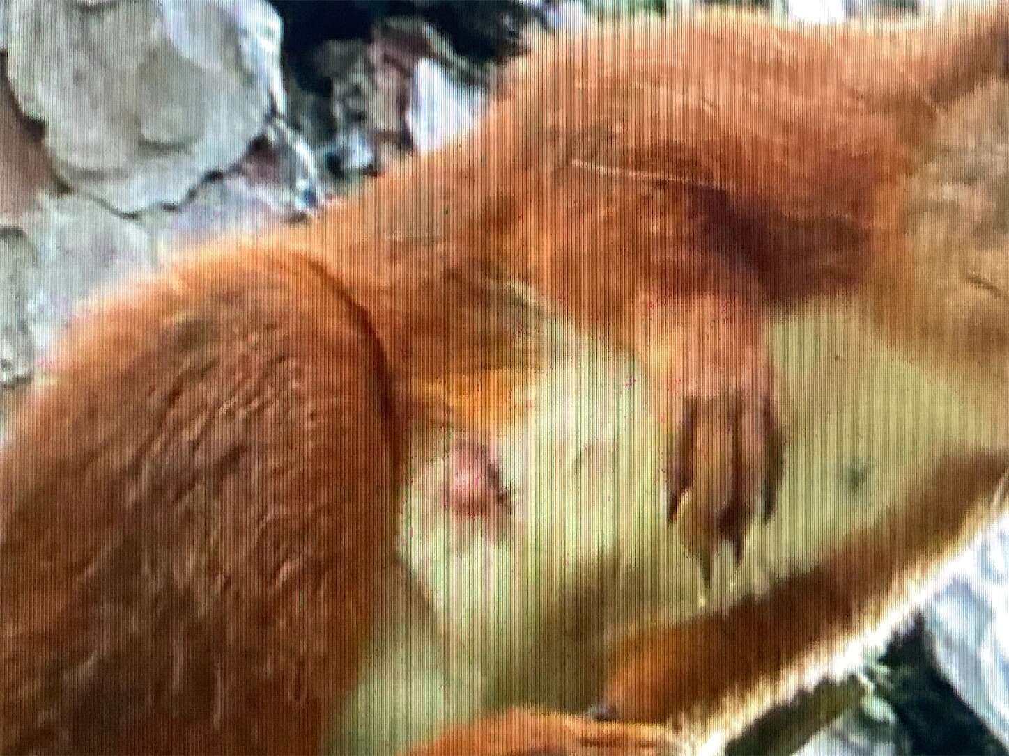 f:id:moomoon6355:20230929222444j:image