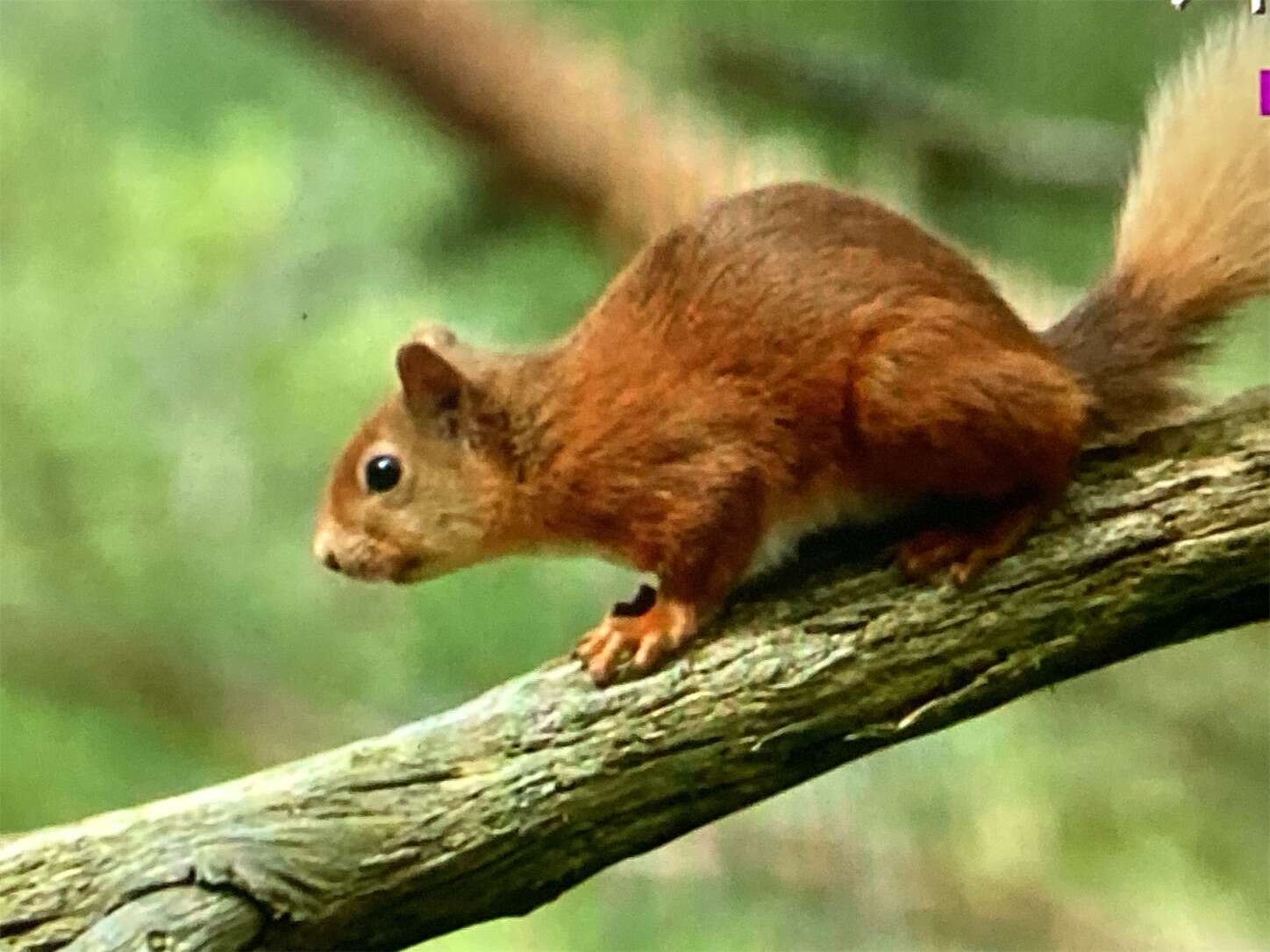 f:id:moomoon6355:20230929222452j:image