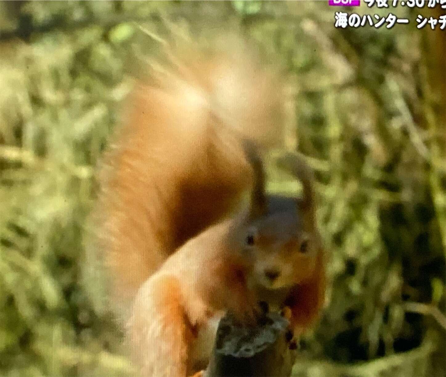 f:id:moomoon6355:20230929222456j:image