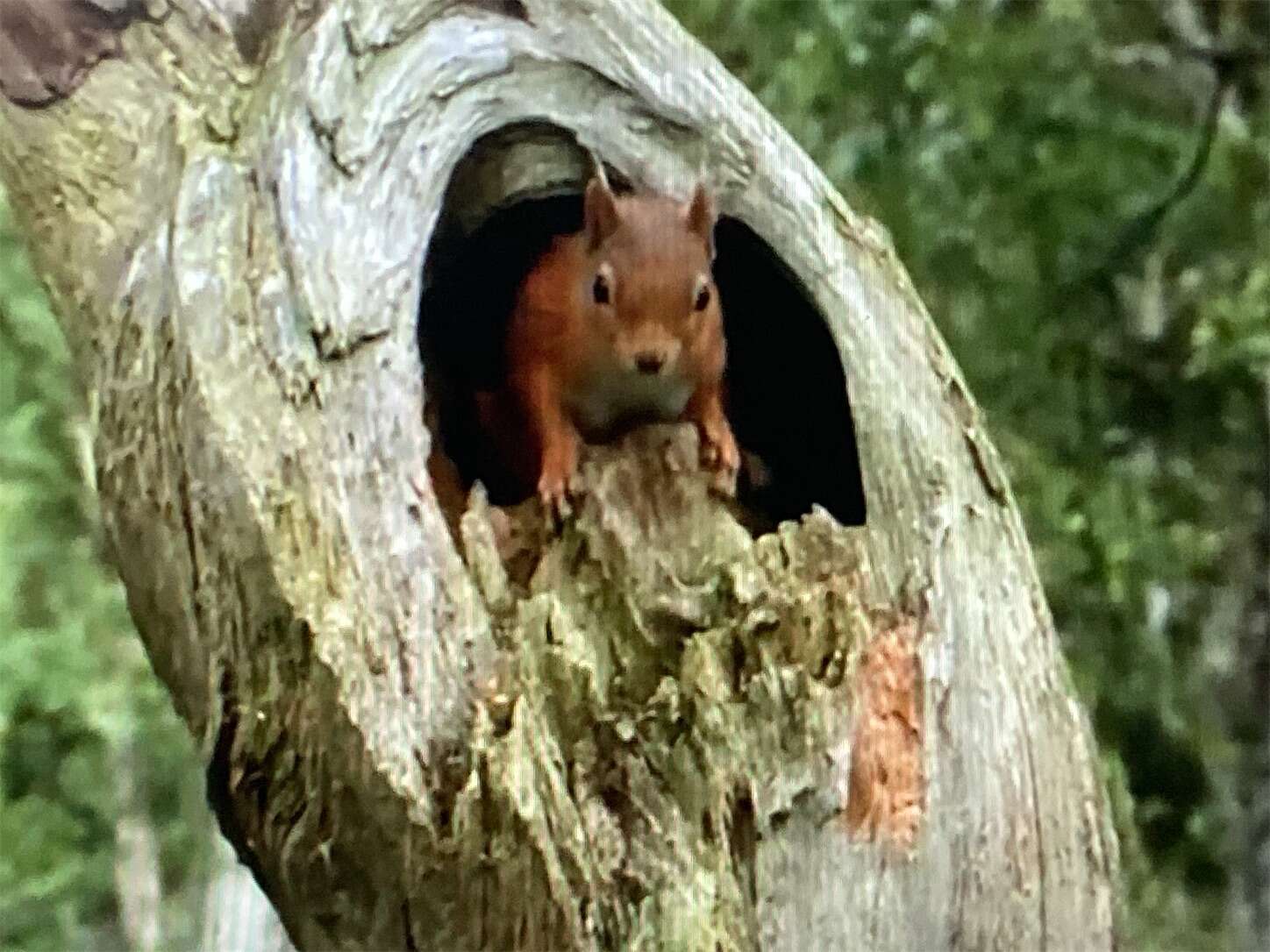 f:id:moomoon6355:20230929222500j:image