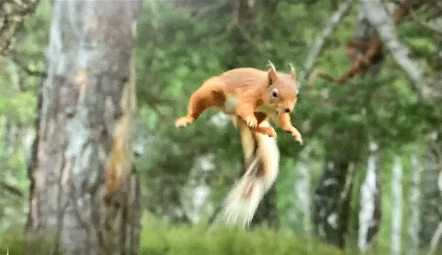 f:id:moomoon6355:20230929222504j:image