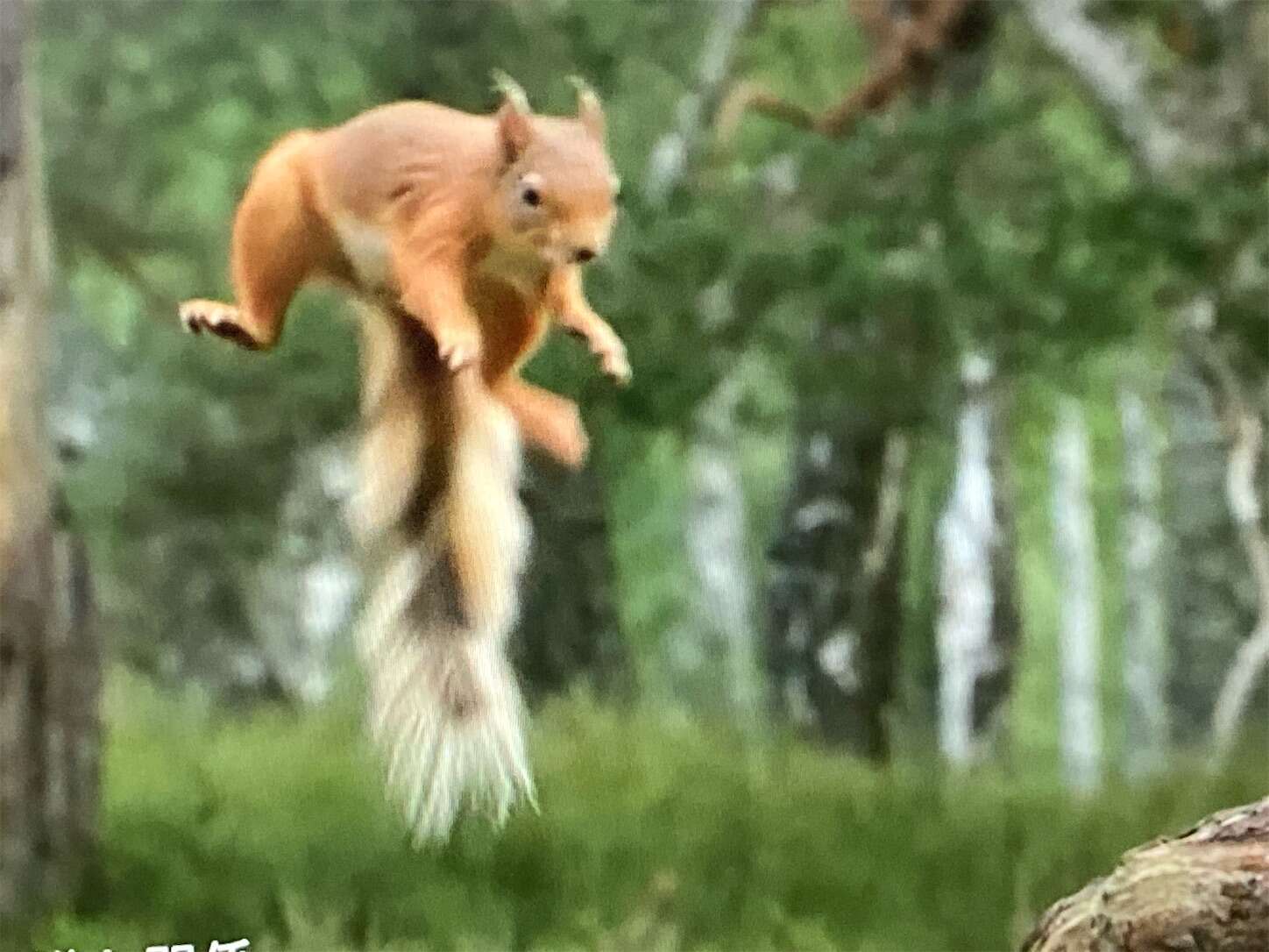 f:id:moomoon6355:20230929222511j:image