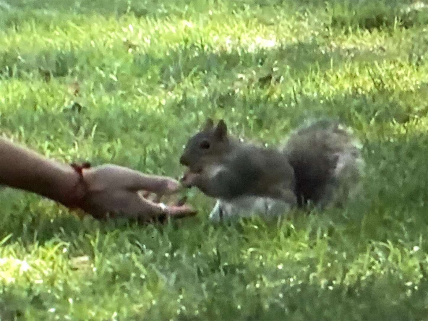 f:id:moomoon6355:20230929223056j:image