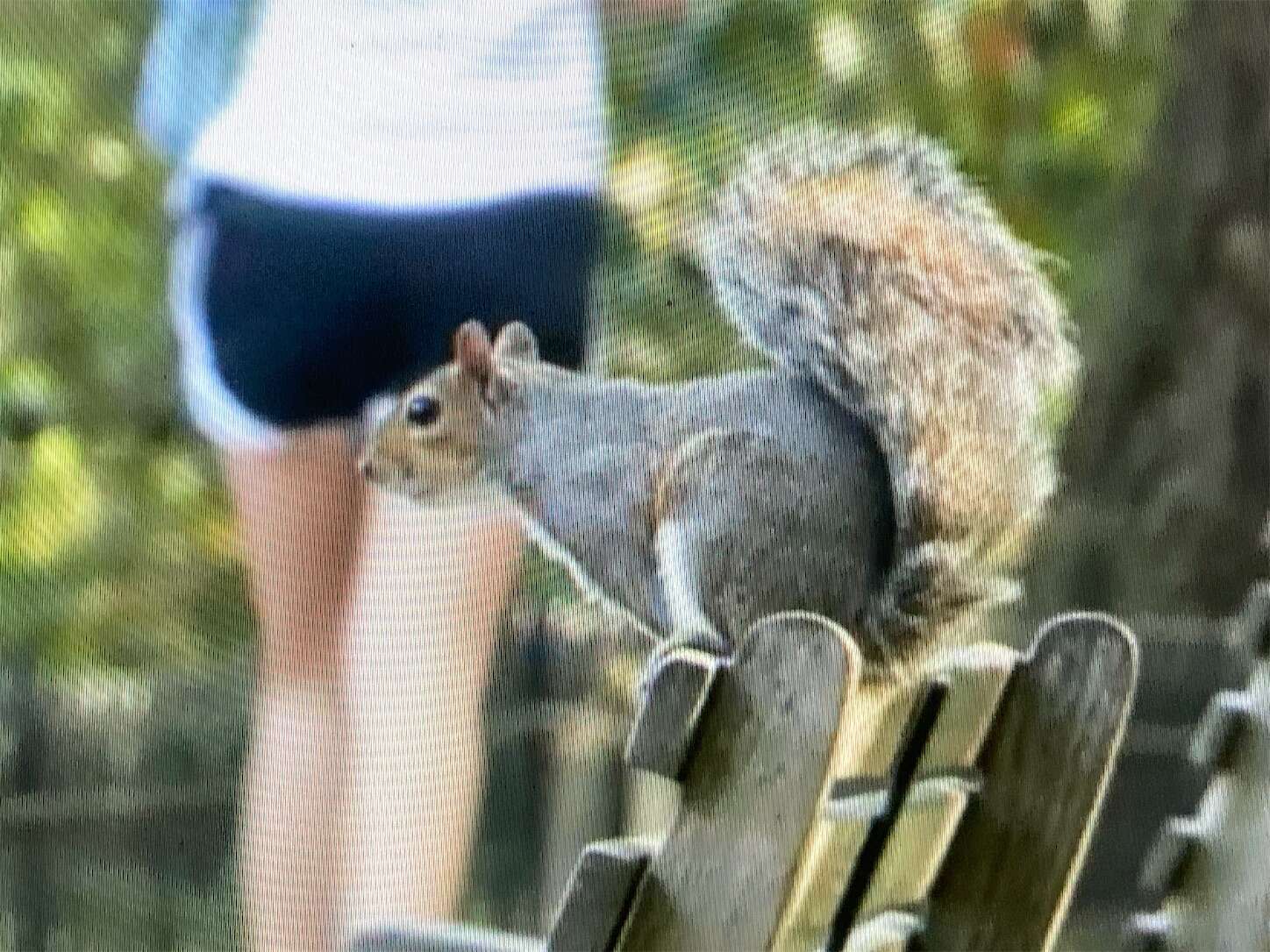 f:id:moomoon6355:20230929223104j:image