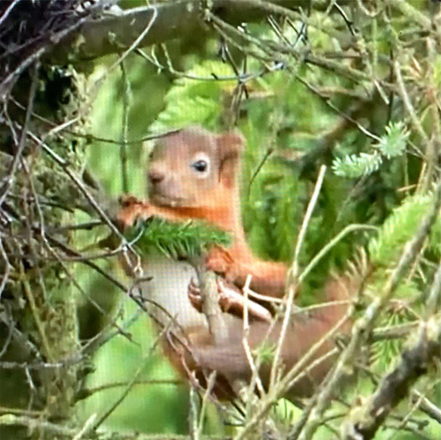 f:id:moomoon6355:20230929223536j:image