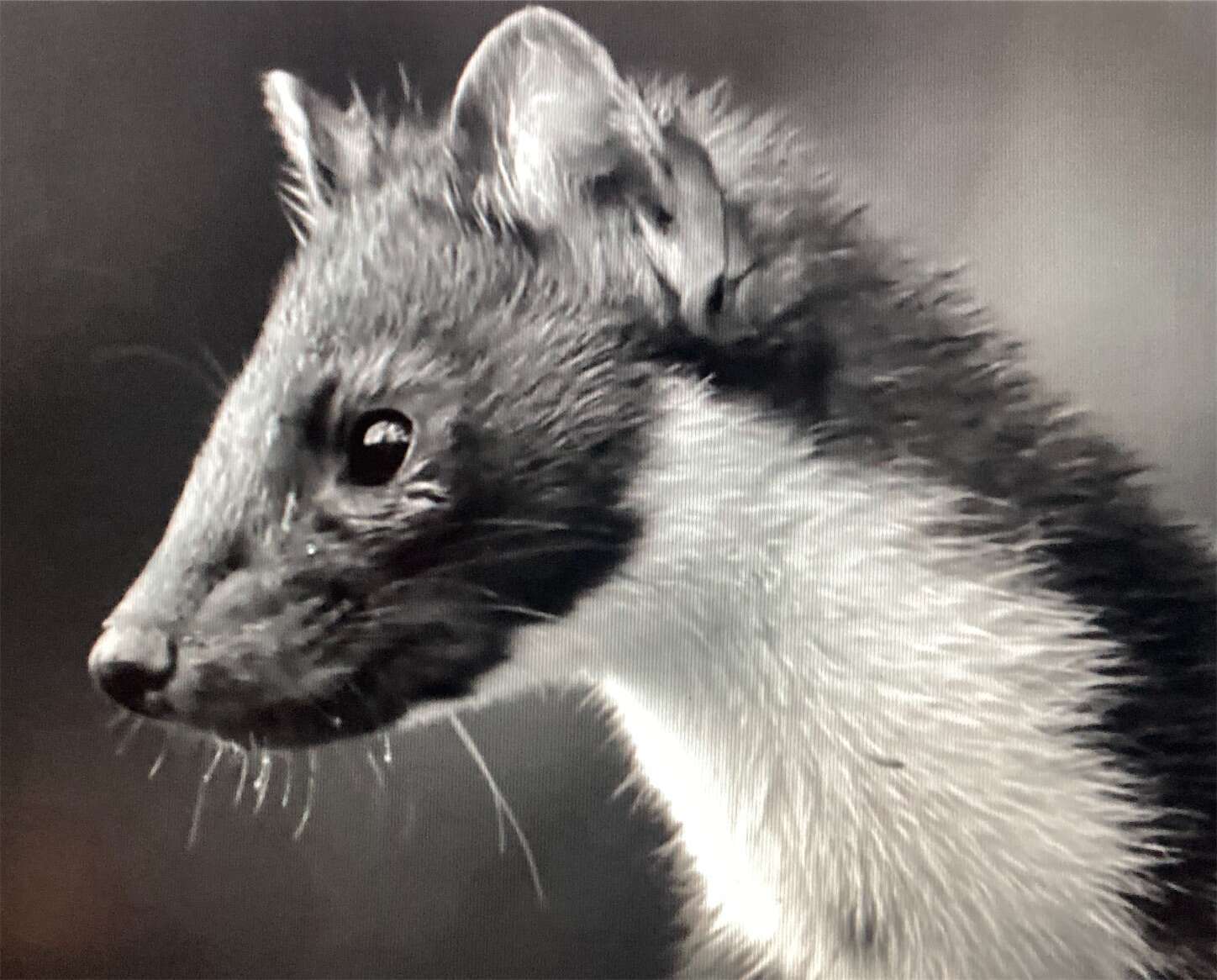 f:id:moomoon6355:20230929223540j:image