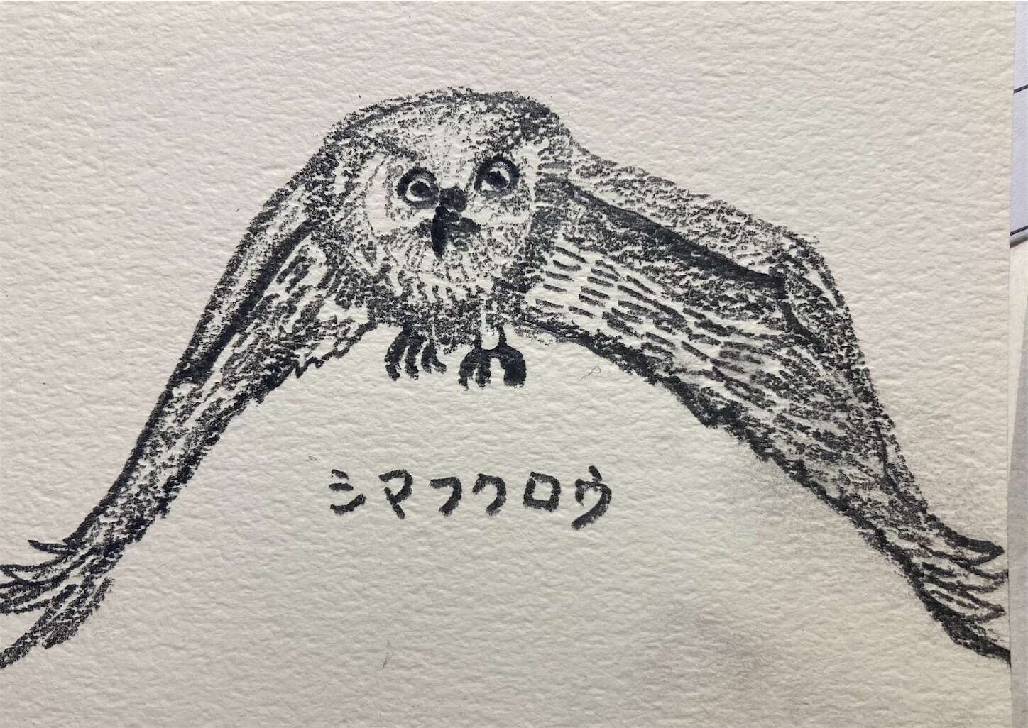 f:id:moomoon6355:20231004214547j:image