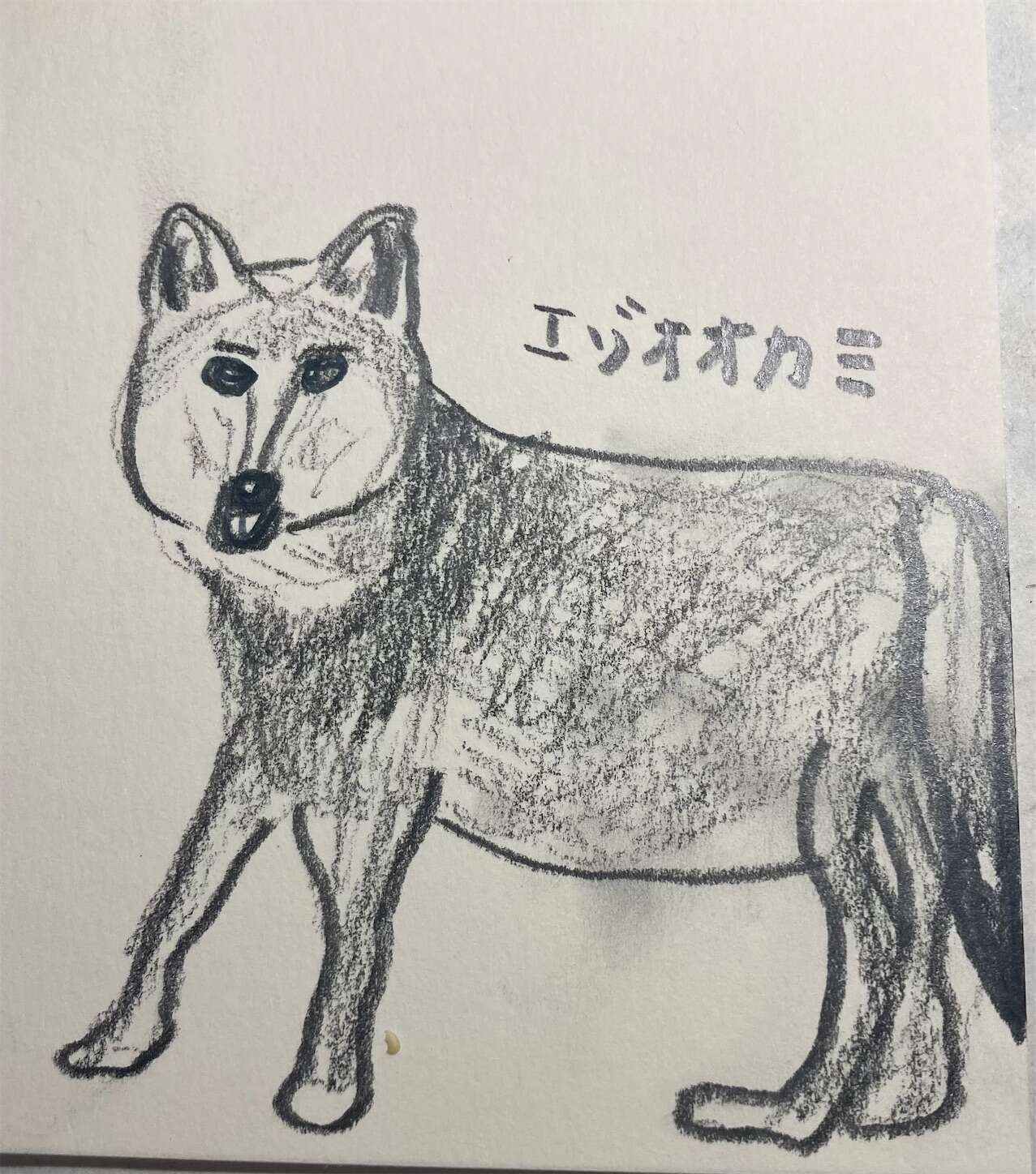 f:id:moomoon6355:20231004214612j:image