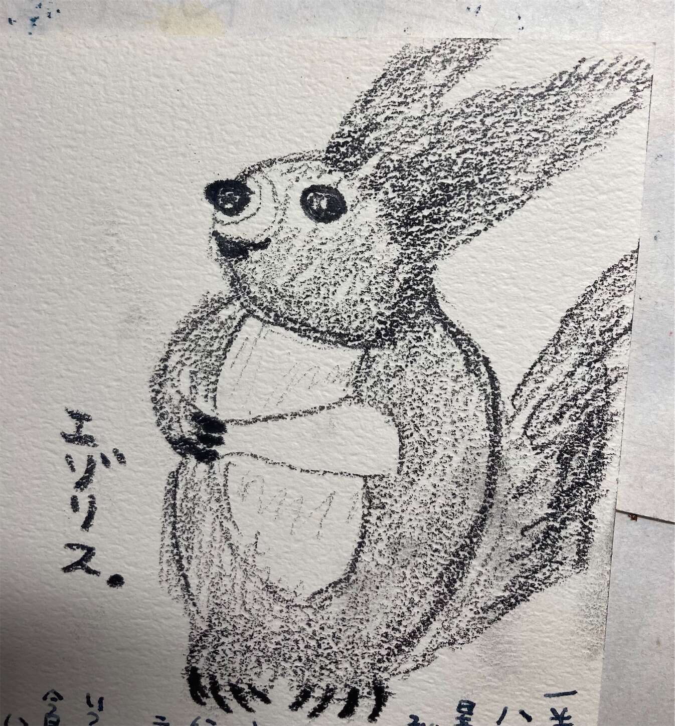 f:id:moomoon6355:20231004214724j:image