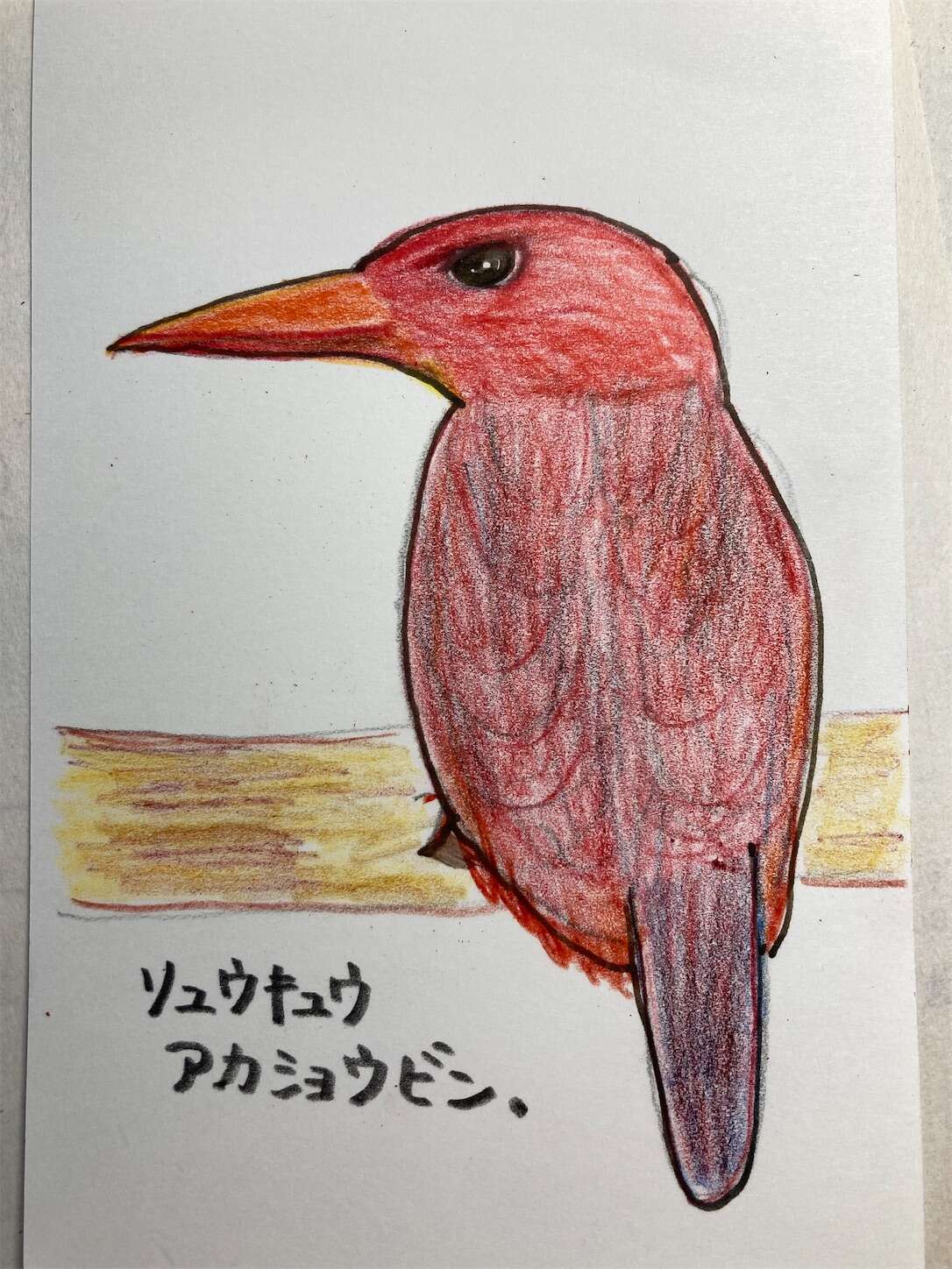 f:id:moomoon6355:20231005093003j:image