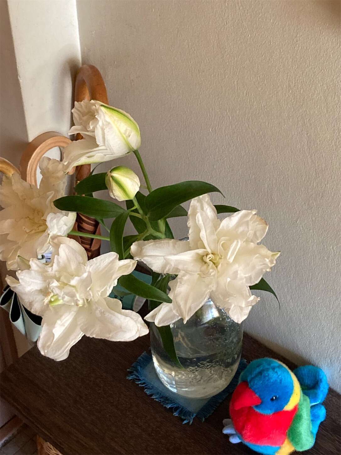 f:id:moomoon6355:20231016225455j:image f:id:moomoon6355:20231016225455j:image