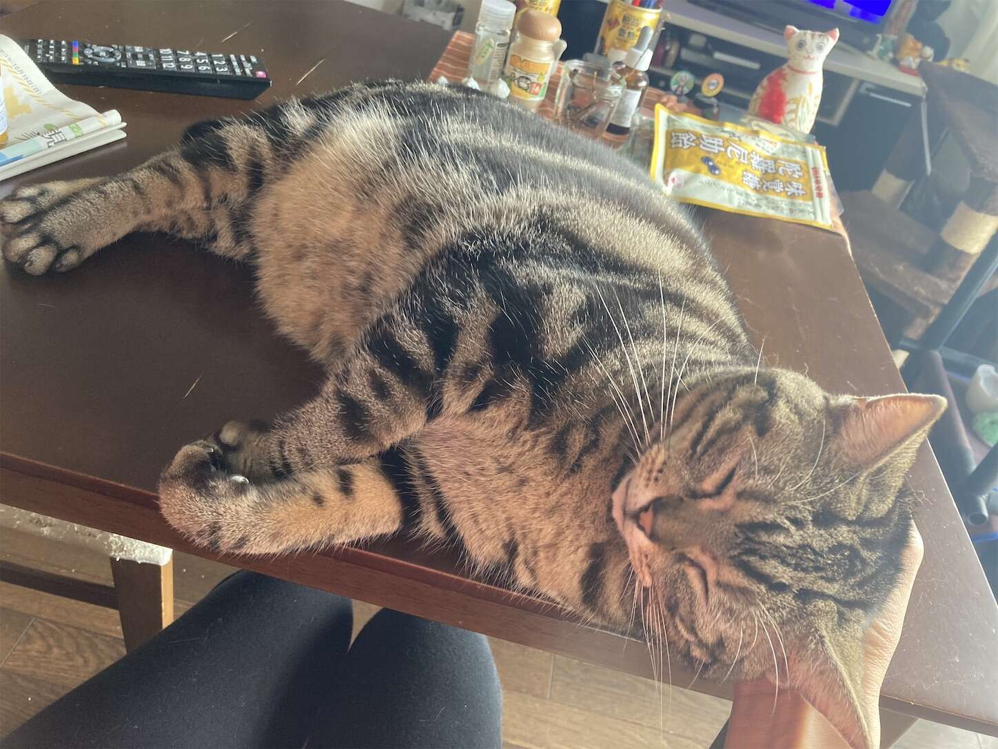 f:id:moomoon6355:20231016225459j:image f:id:moomoon6355:20231016225459j:image