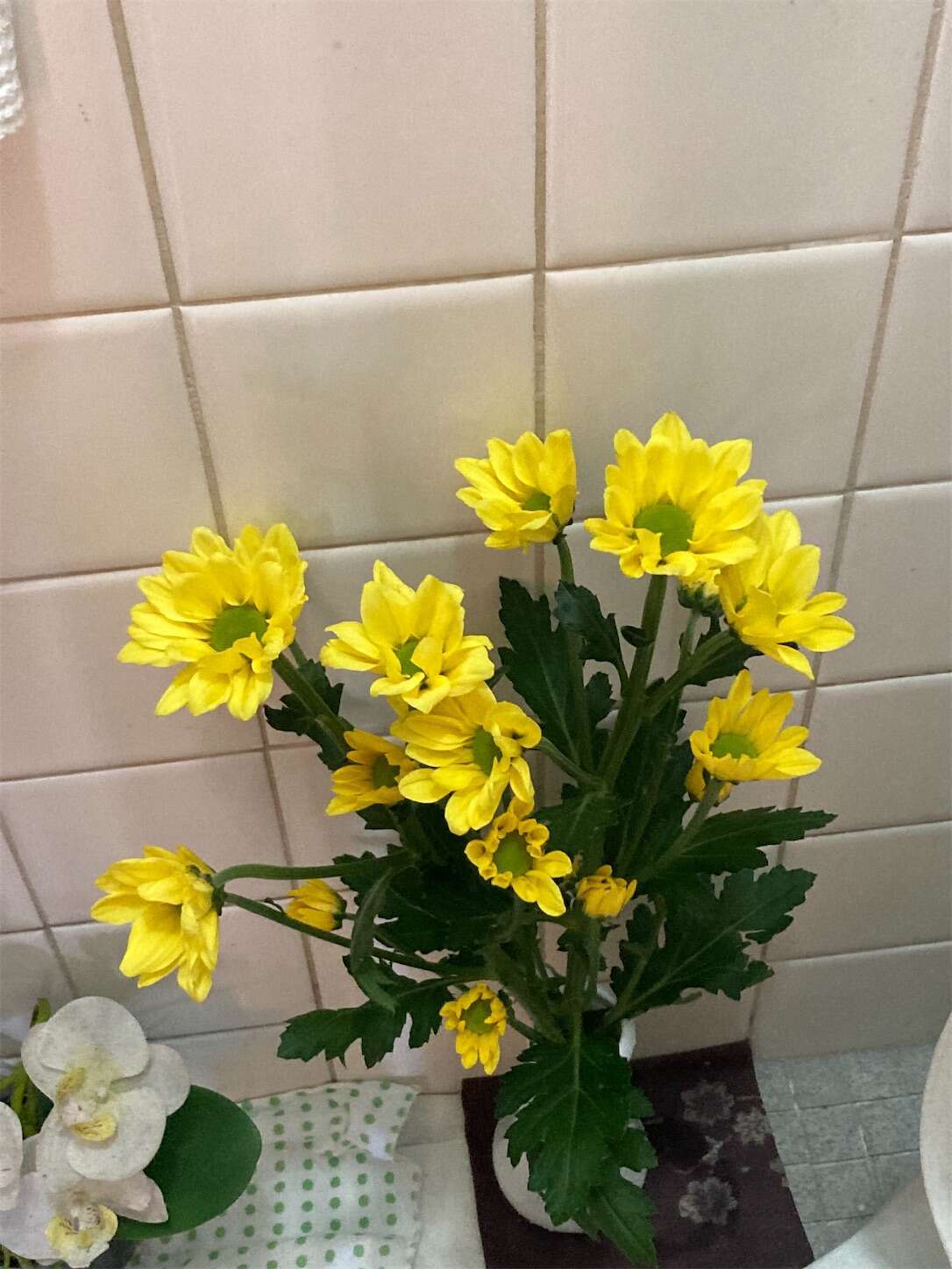 f:id:moomoon6355:20231016225503j:image f:id:moomoon6355:20231016225503j:image