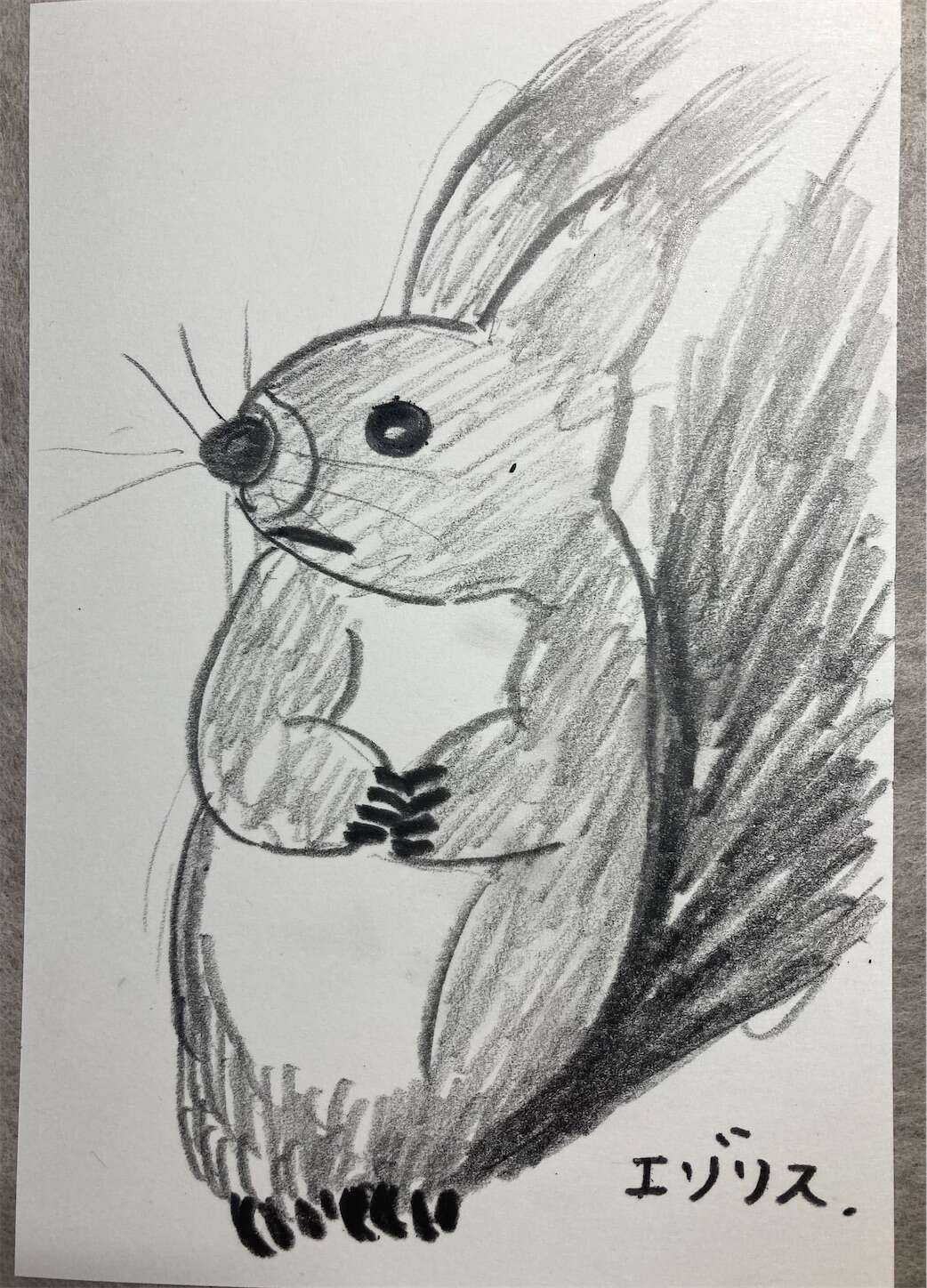 f:id:moomoon6355:20231016230933j:image f:id:moomoon6355:20231016230933j:image