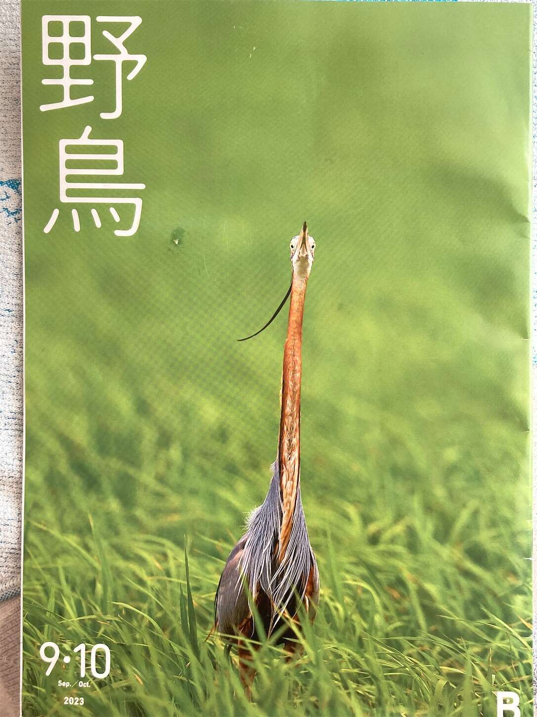 f:id:moomoon6355:20231017114831j:image f:id:moomoon6355:20231017114831j:image