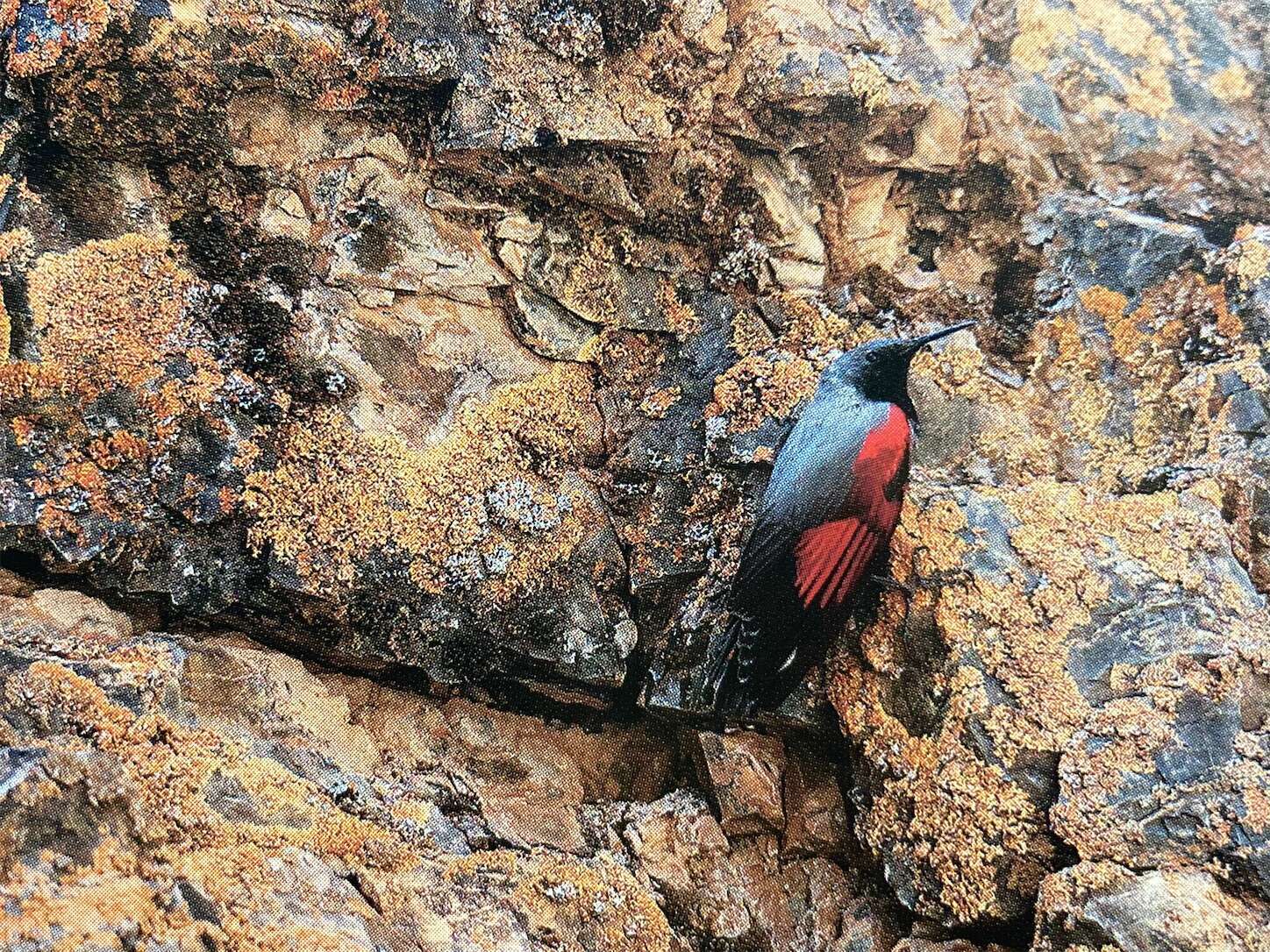 f:id:moomoon6355:20231017115217j:image f:id:moomoon6355:20231017115217j:image