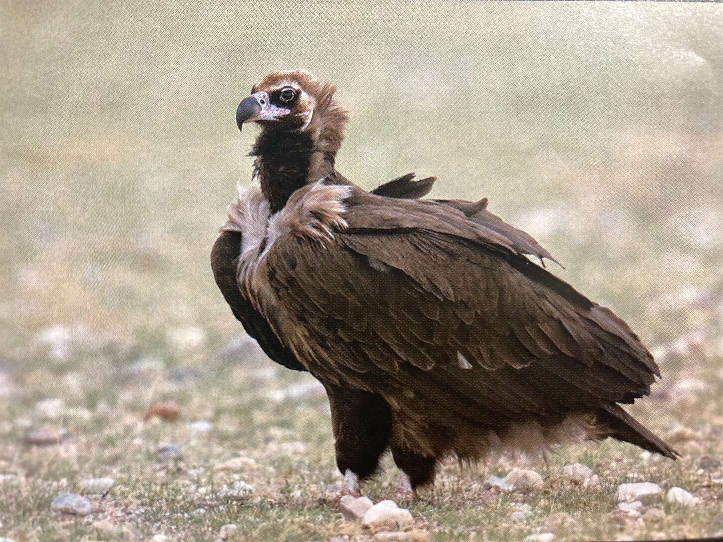 f:id:moomoon6355:20231017115303j:image f:id:moomoon6355:20231017115303j:image