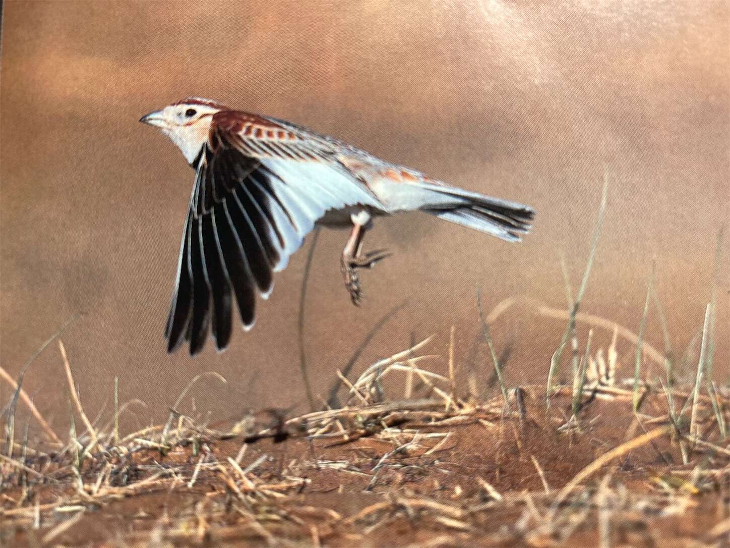 f:id:moomoon6355:20231017115318j:image f:id:moomoon6355:20231017115318j:image