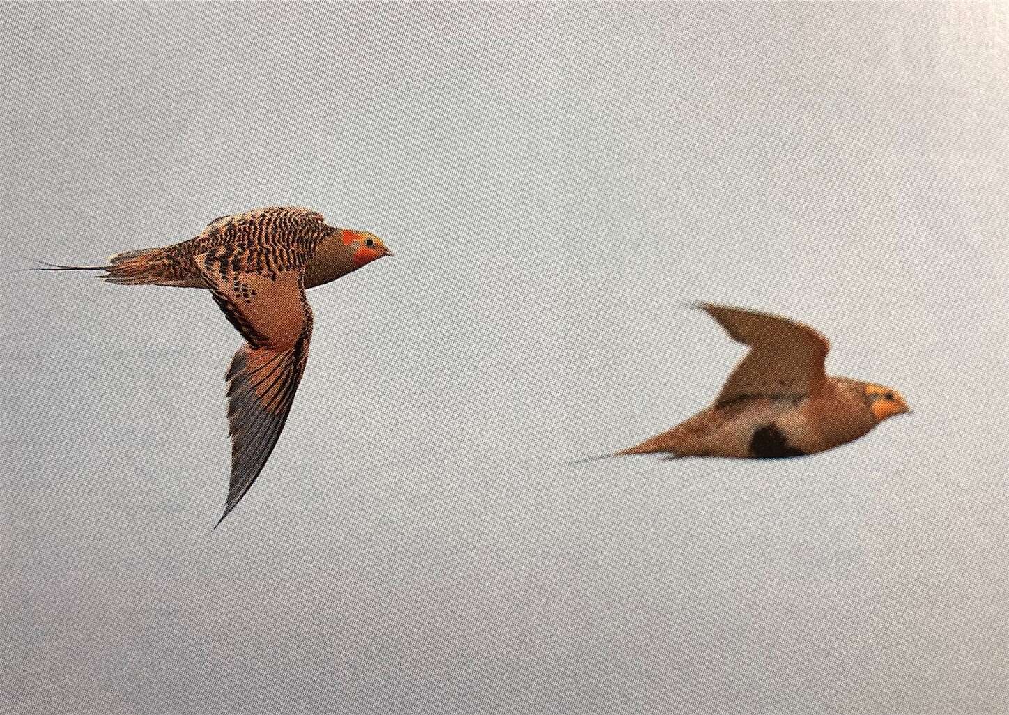 f:id:moomoon6355:20231017115349j:image f:id:moomoon6355:20231017115349j:image