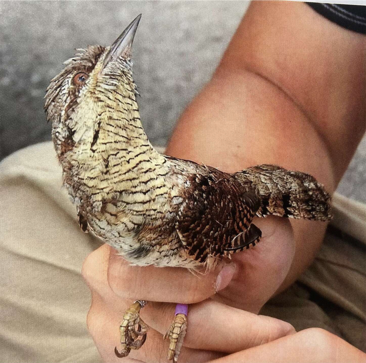 f:id:moomoon6355:20231017115514j:image f:id:moomoon6355:20231017115514j:image