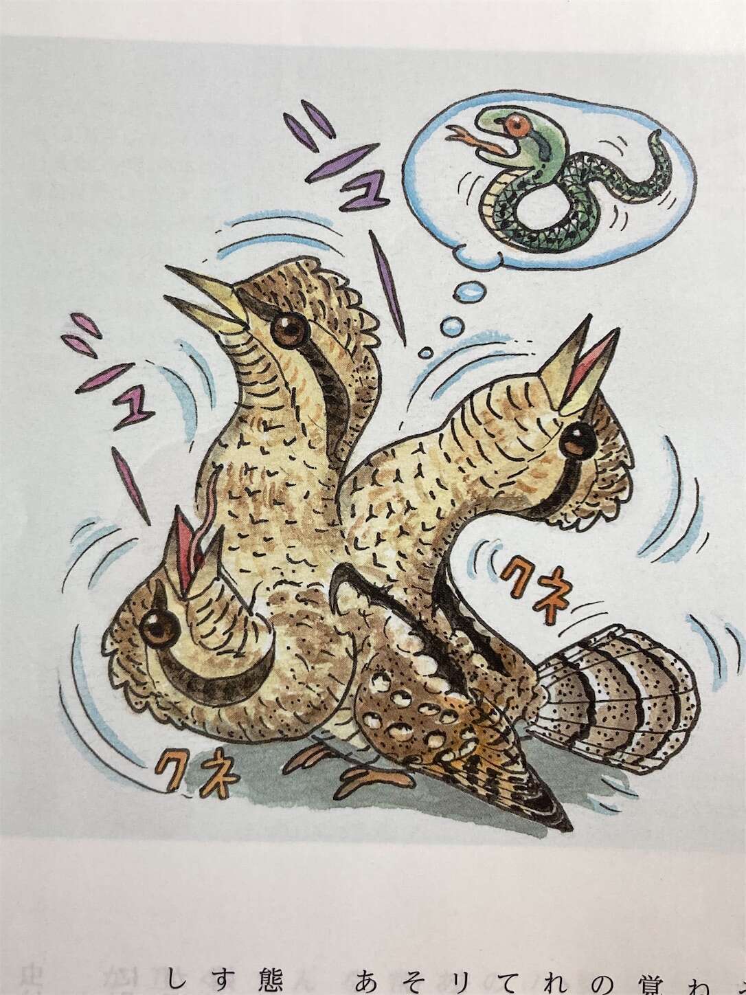 f:id:moomoon6355:20231017115540j:image f:id:moomoon6355:20231017115540j:image