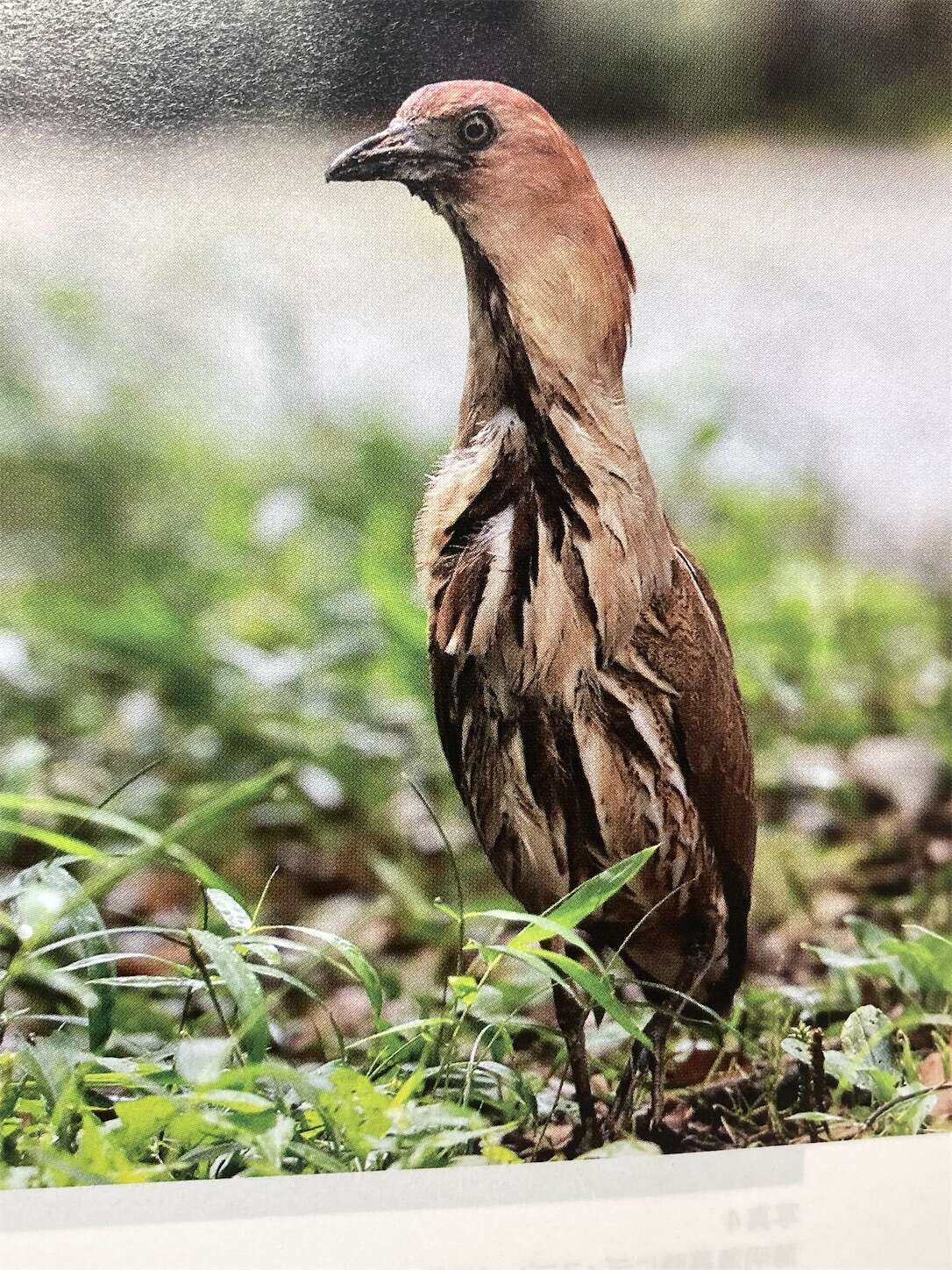 f:id:moomoon6355:20231017115655j:image f:id:moomoon6355:20231017115655j:image