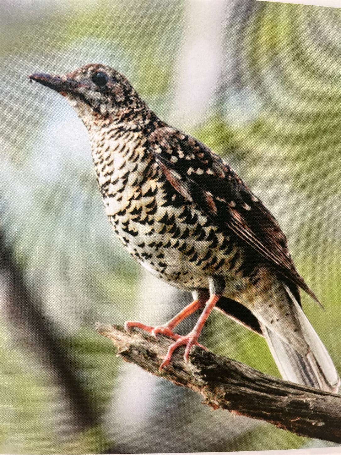 f:id:moomoon6355:20231017115918j:image f:id:moomoon6355:20231017115918j:image