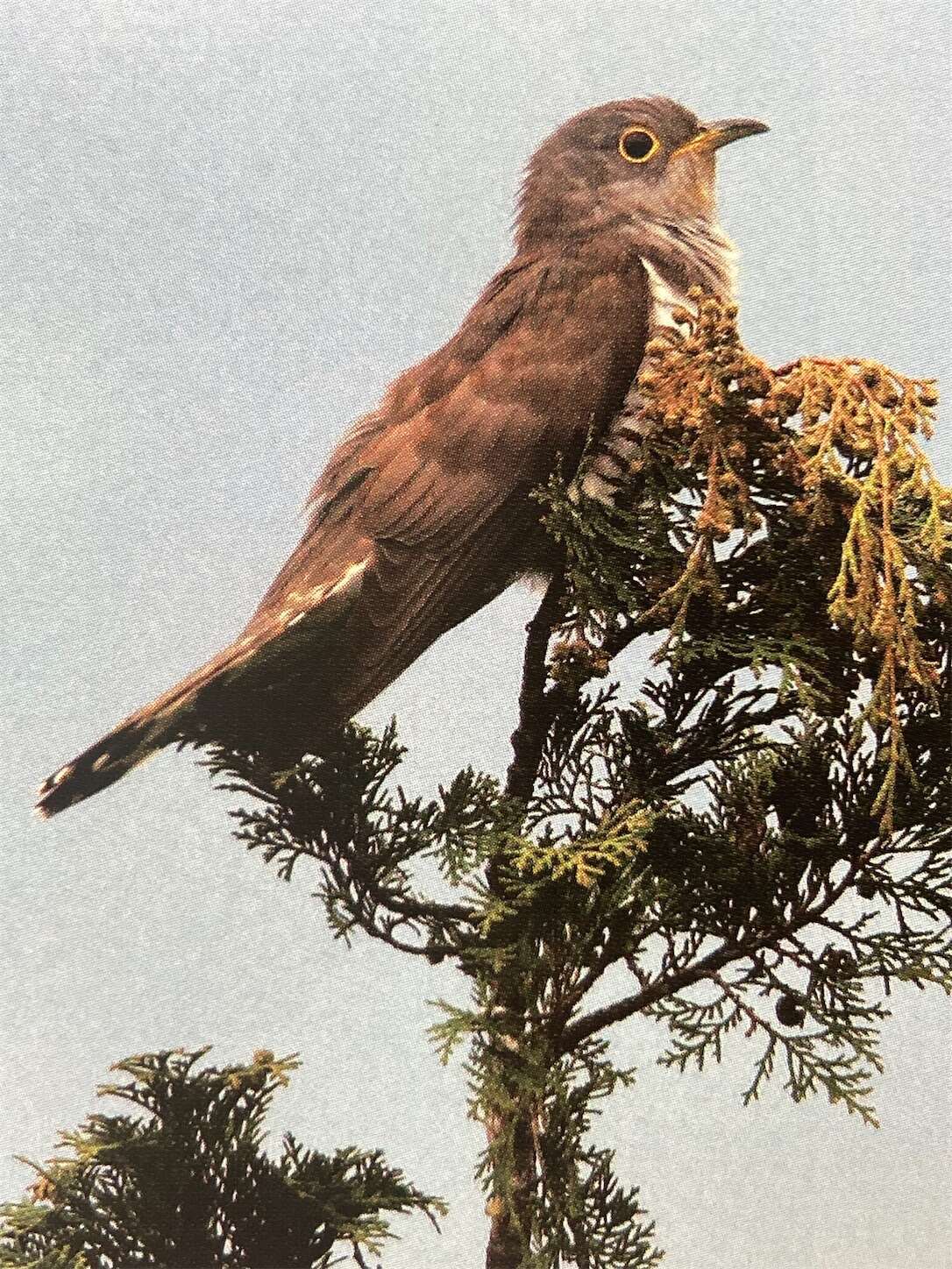 f:id:moomoon6355:20231017120051j:image f:id:moomoon6355:20231017120051j:image