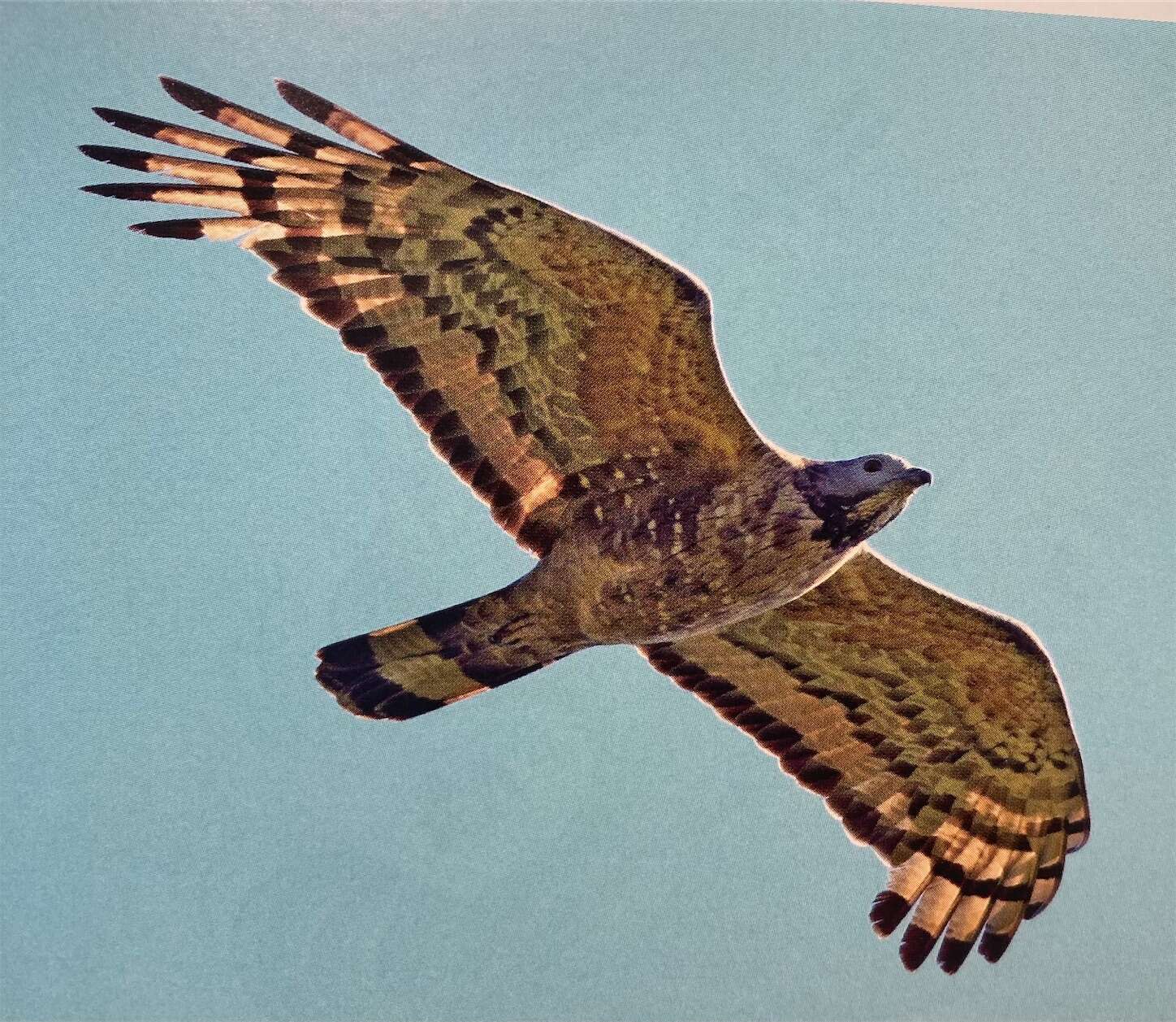 f:id:moomoon6355:20231017120236j:image f:id:moomoon6355:20231017120236j:image