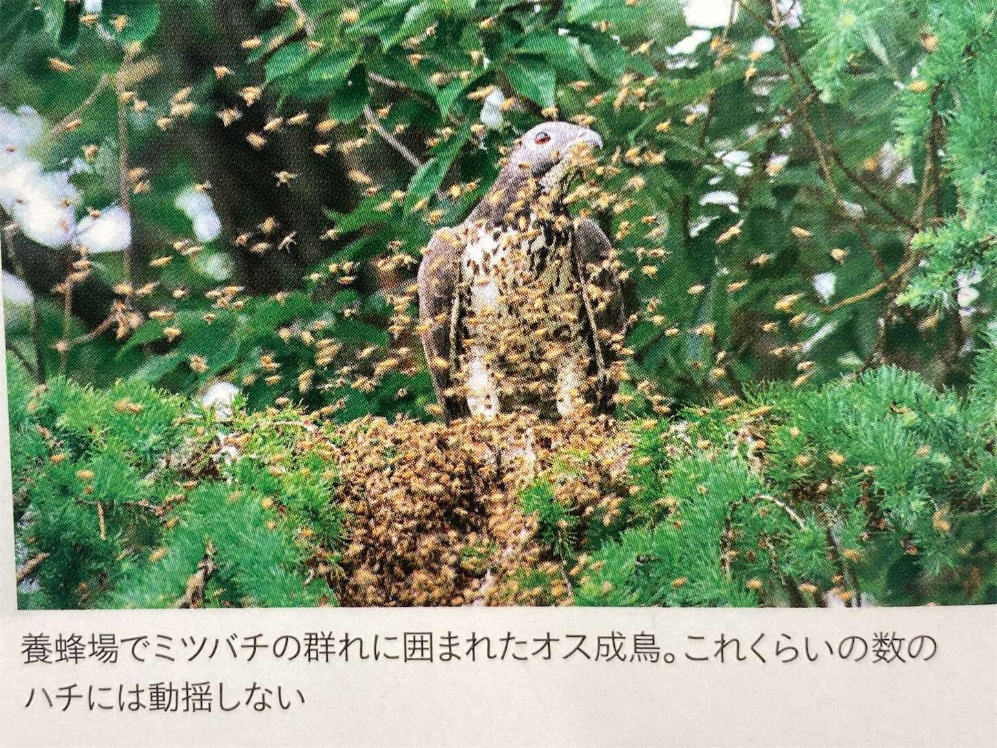 f:id:moomoon6355:20231017120620j:image f:id:moomoon6355:20231017120620j:image