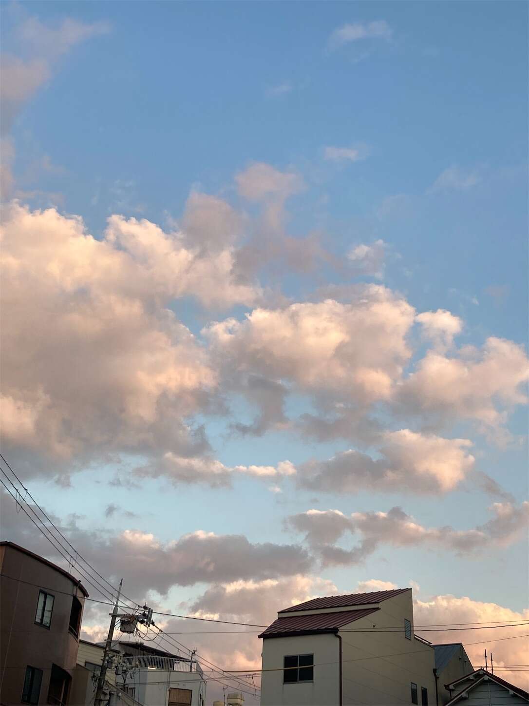 f:id:moomoon6355:20231017201204j:image f:id:moomoon6355:20231017201204j:image