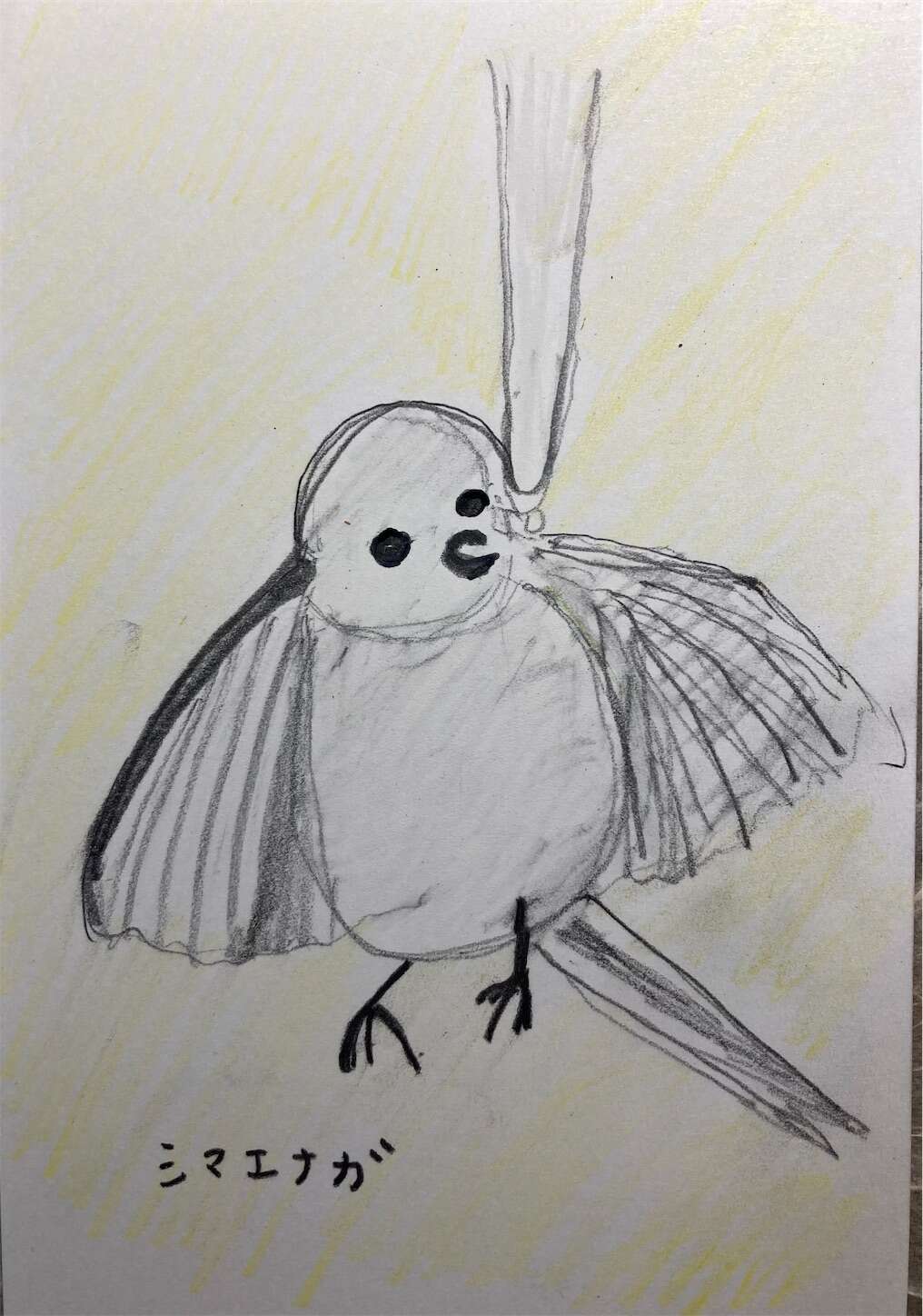 f:id:moomoon6355:20231020145227j:image