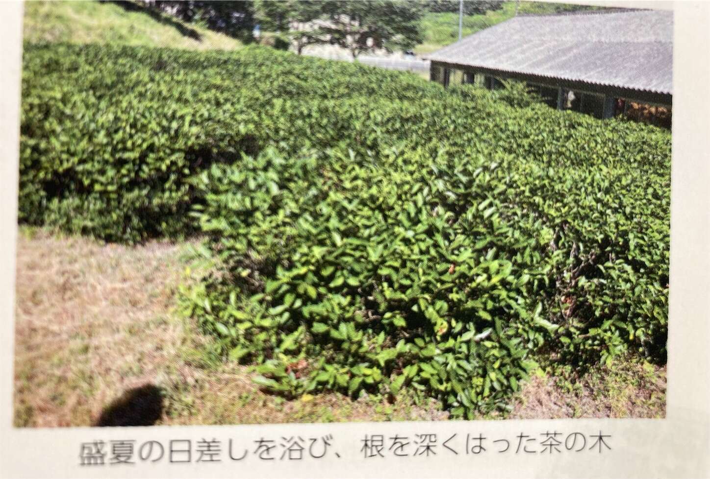 f:id:moomoon6355:20231024111313j:image f:id:moomoon6355:20231024111313j:image