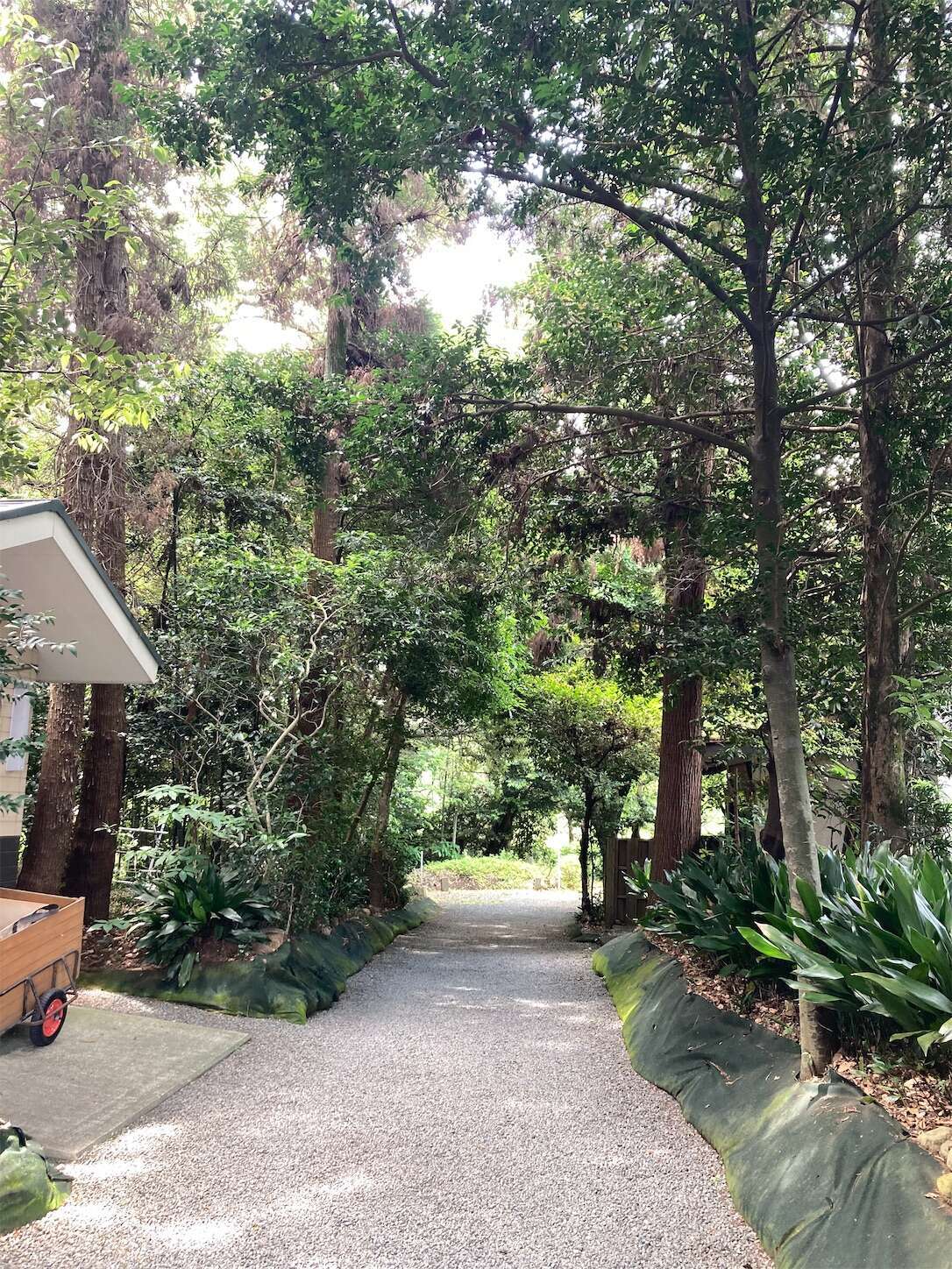 f:id:moomoon6355:20240514093337j:image f:id:moomoon6355:20240514093337j:image