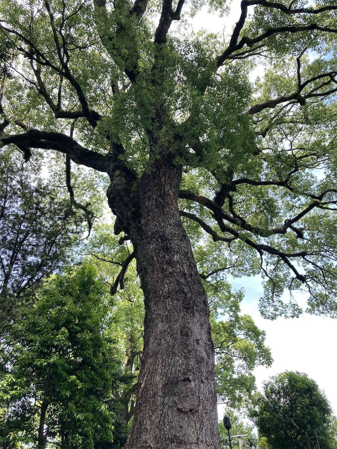 f:id:moomoon6355:20240514093345j:image f:id:moomoon6355:20240514093345j:image