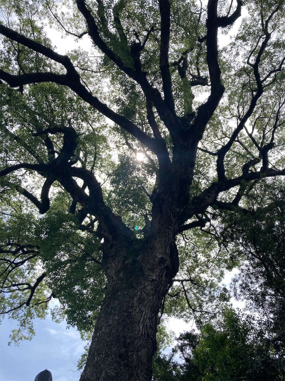 f:id:moomoon6355:20240514093349j:image f:id:moomoon6355:20240514093349j:image