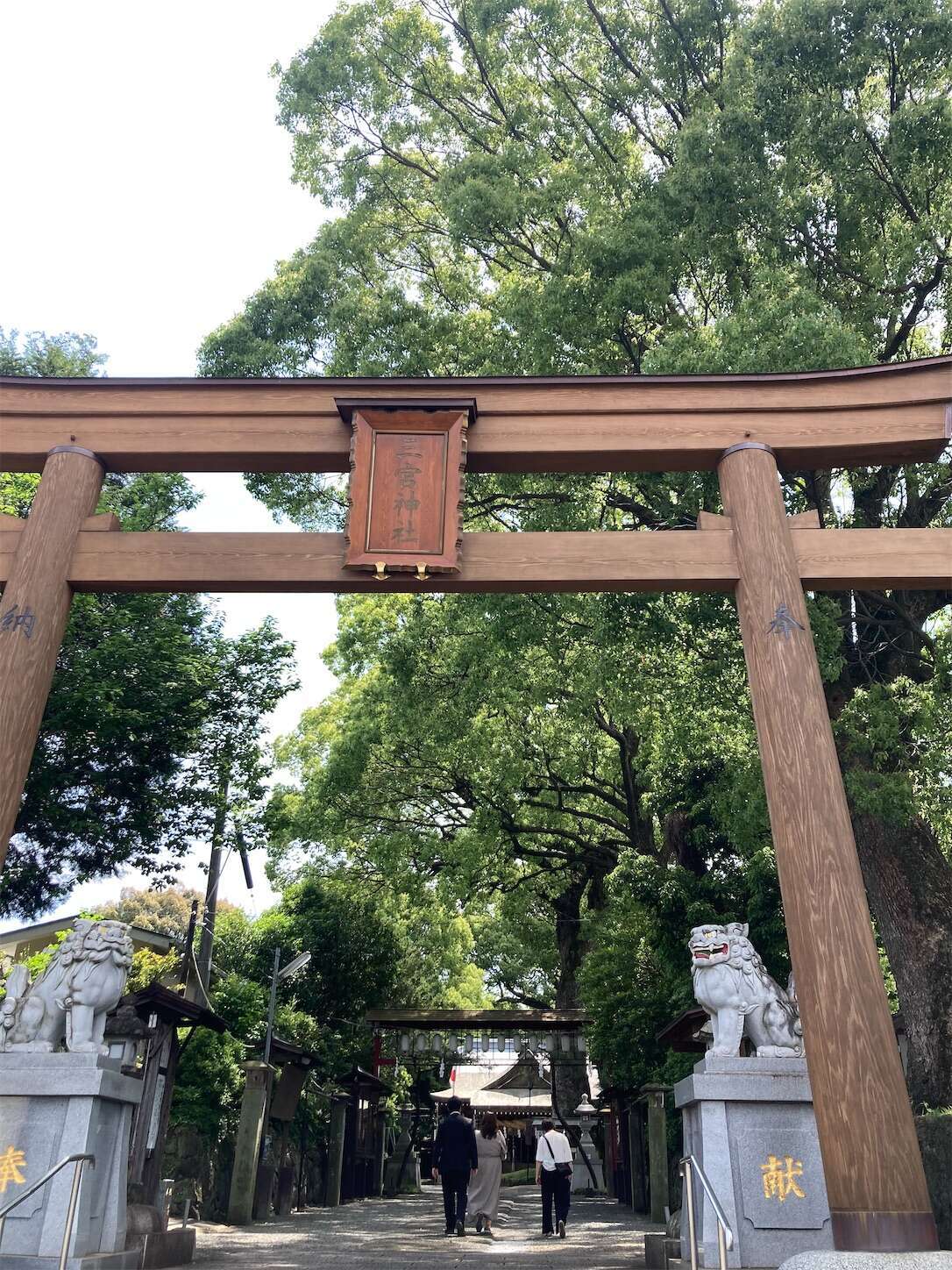 f:id:moomoon6355:20240514093353j:image f:id:moomoon6355:20240514093353j:image