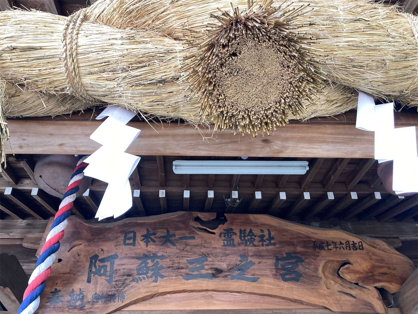 f:id:moomoon6355:20240514093356j:image f:id:moomoon6355:20240514093356j:image