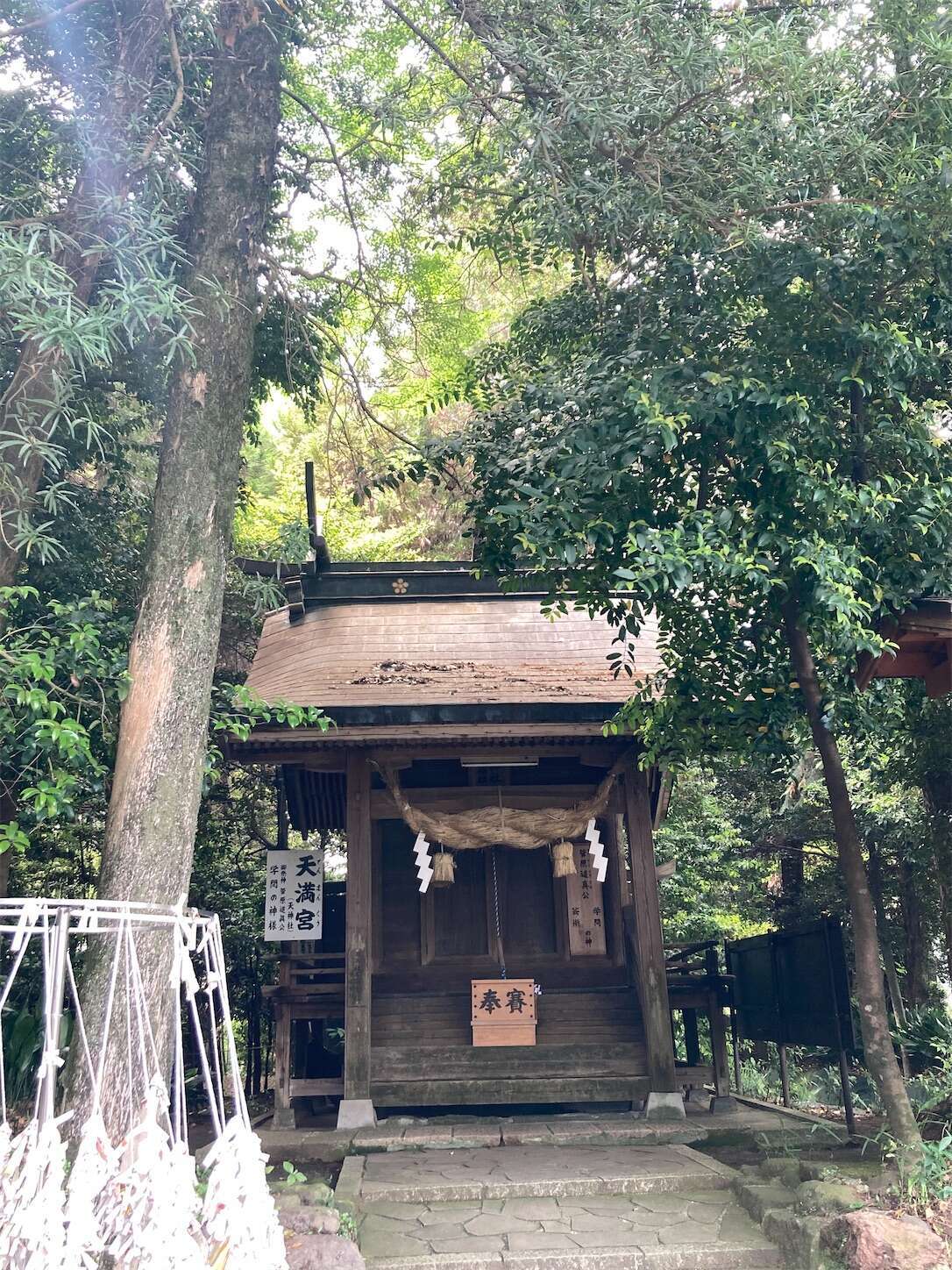 f:id:moomoon6355:20240514093407j:image f:id:moomoon6355:20240514093407j:image