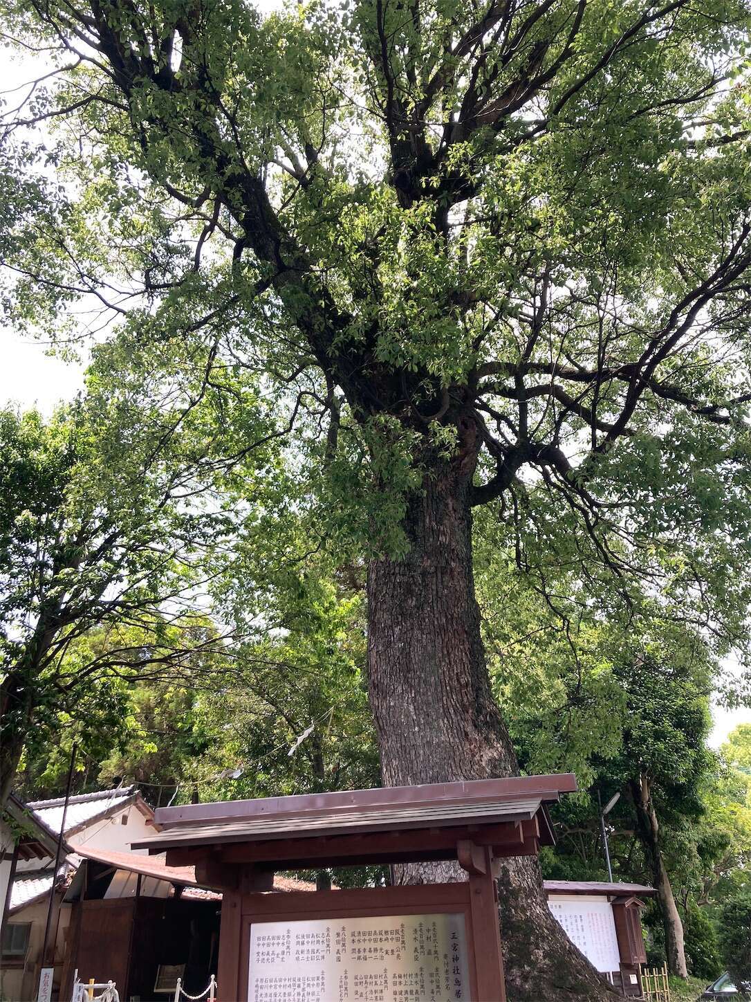 f:id:moomoon6355:20240514093414j:image f:id:moomoon6355:20240514093414j:image