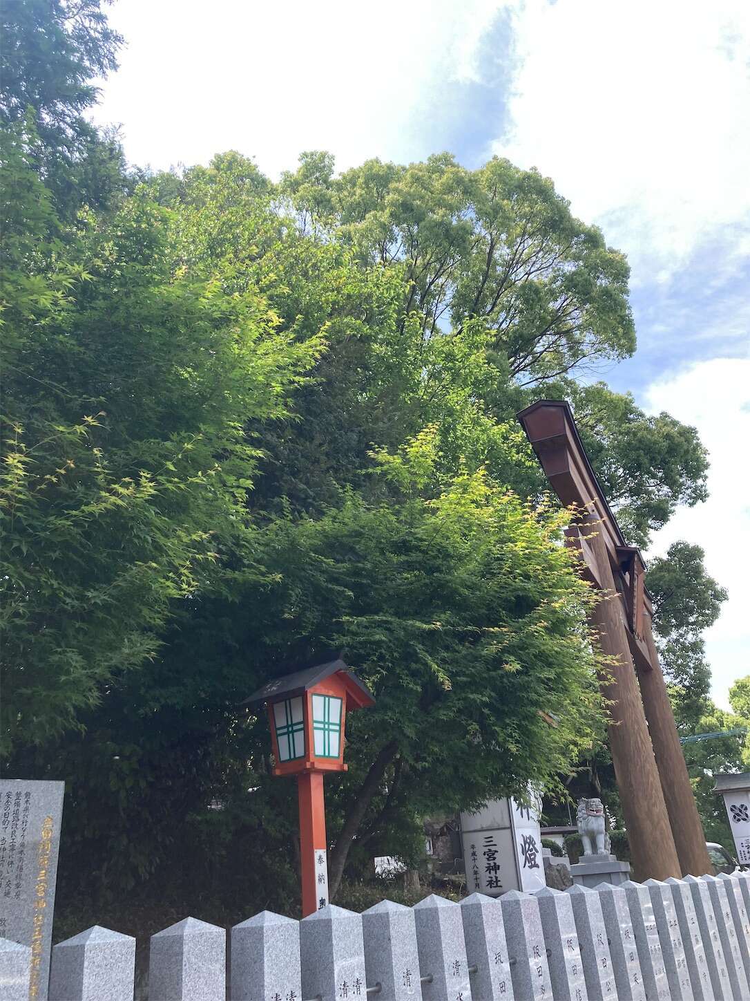 f:id:moomoon6355:20240514093417j:image f:id:moomoon6355:20240514093417j:image