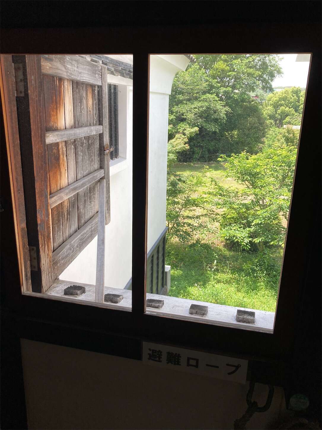 f:id:moomoon6355:20240514094631j:image f:id:moomoon6355:20240514094631j:image