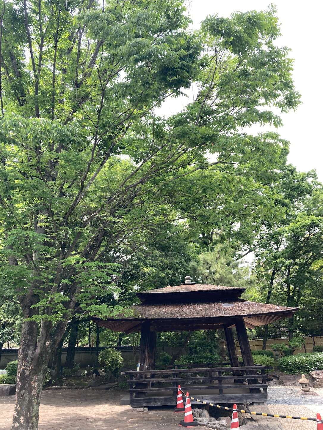 f:id:moomoon6355:20240514095607j:image f:id:moomoon6355:20240514095607j:image