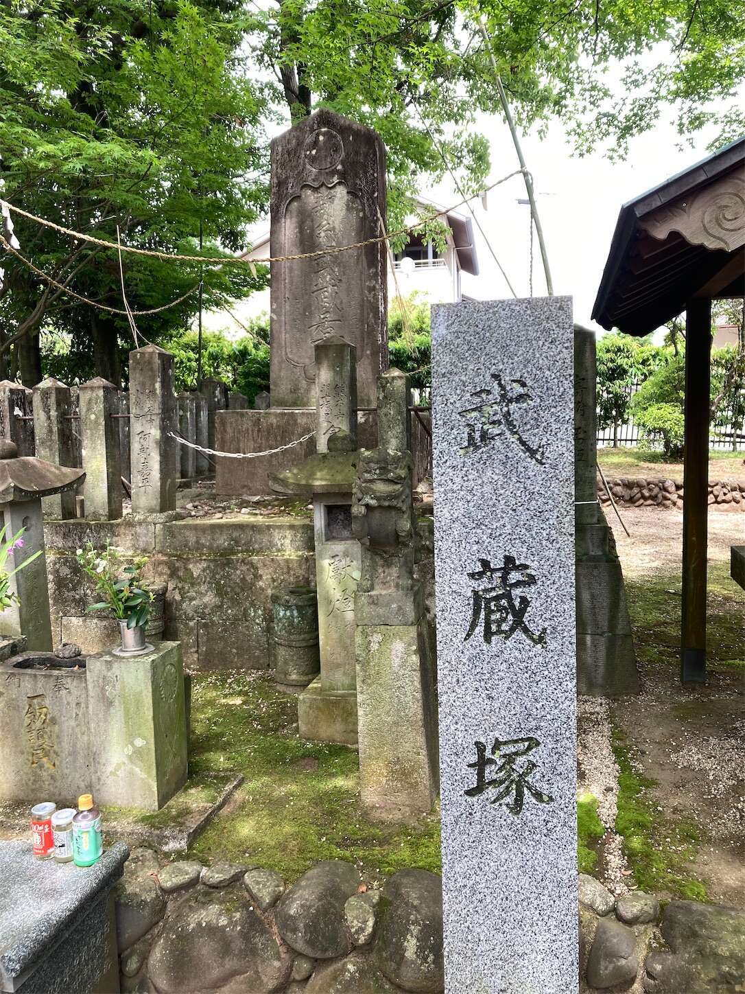 f:id:moomoon6355:20240514095611j:image f:id:moomoon6355:20240514095611j:image