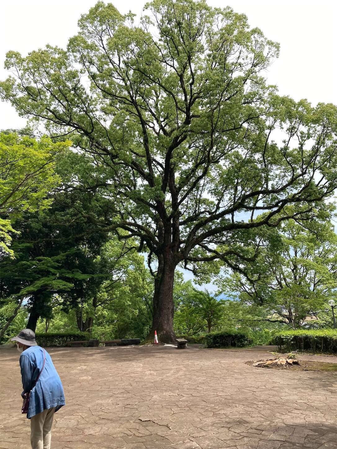 f:id:moomoon6355:20240514095617j:image f:id:moomoon6355:20240514095617j:image