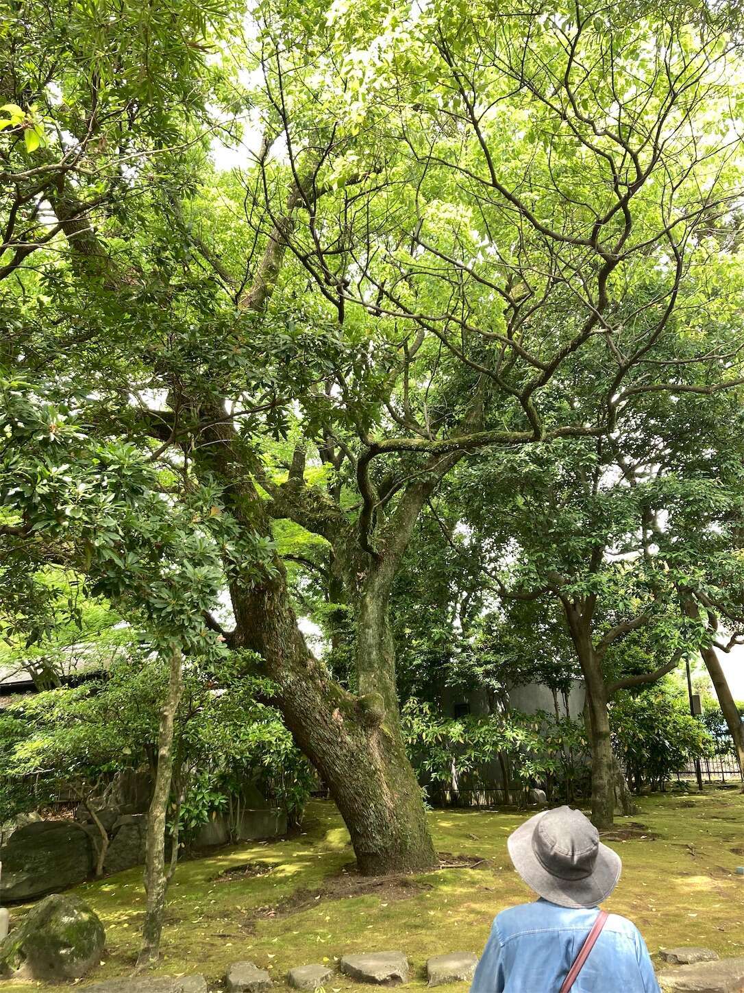 f:id:moomoon6355:20240514095635j:image f:id:moomoon6355:20240514095635j:image