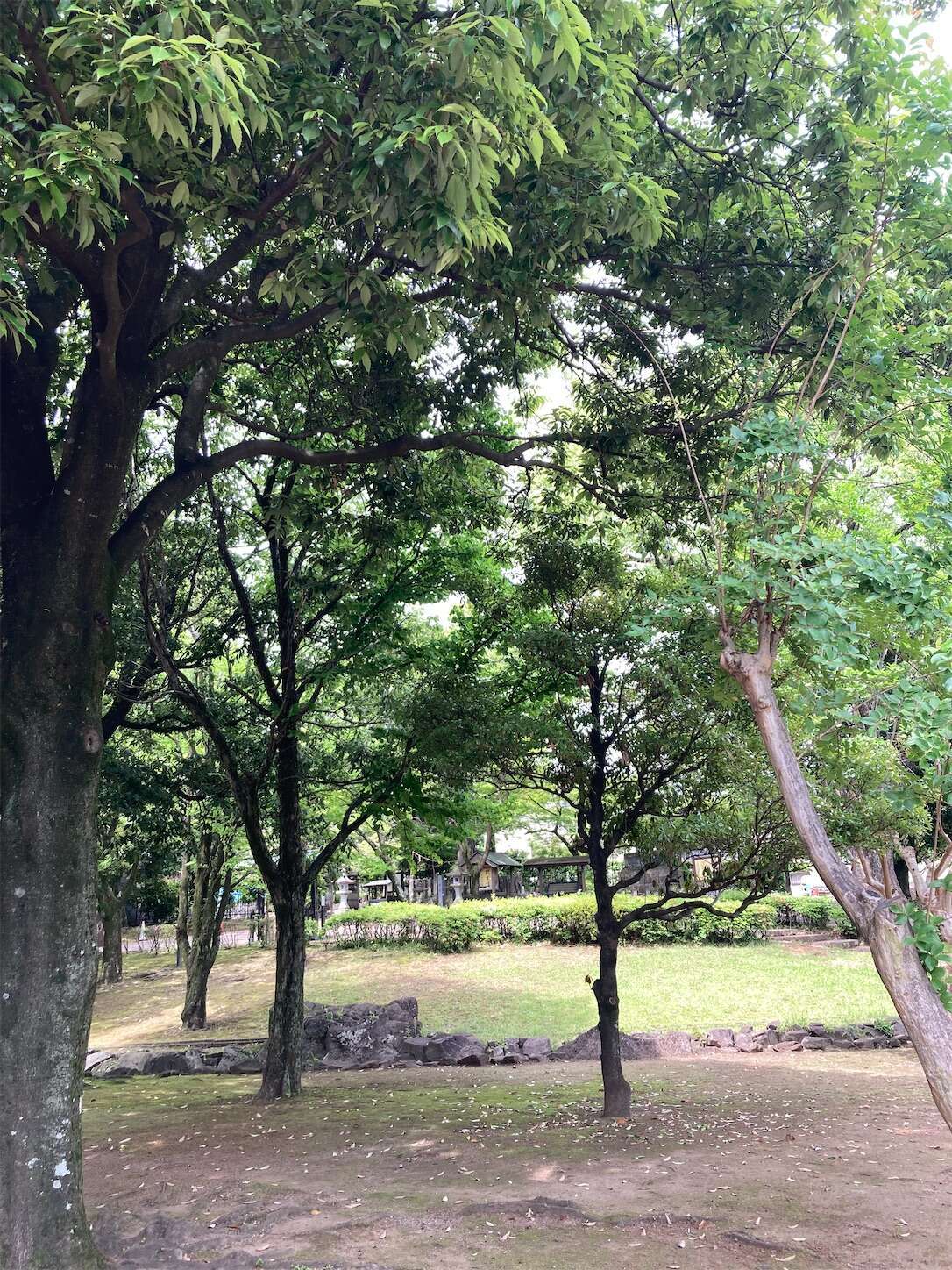 f:id:moomoon6355:20240514095653j:image f:id:moomoon6355:20240514095653j:image