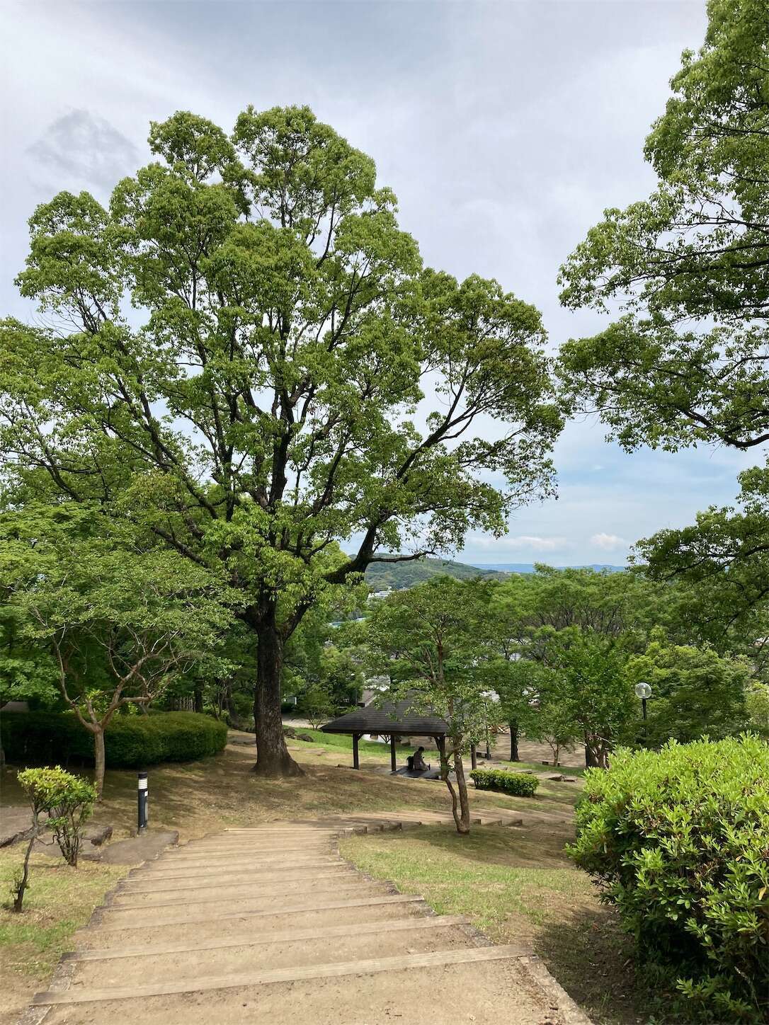 f:id:moomoon6355:20240514100754j:image f:id:moomoon6355:20240514100754j:image