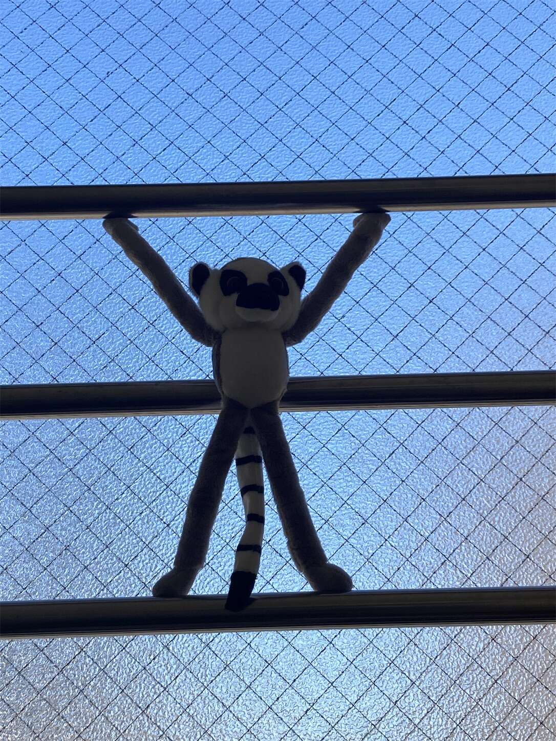 f:id:moomoon6355:20240514100758j:image f:id:moomoon6355:20240514100758j:image