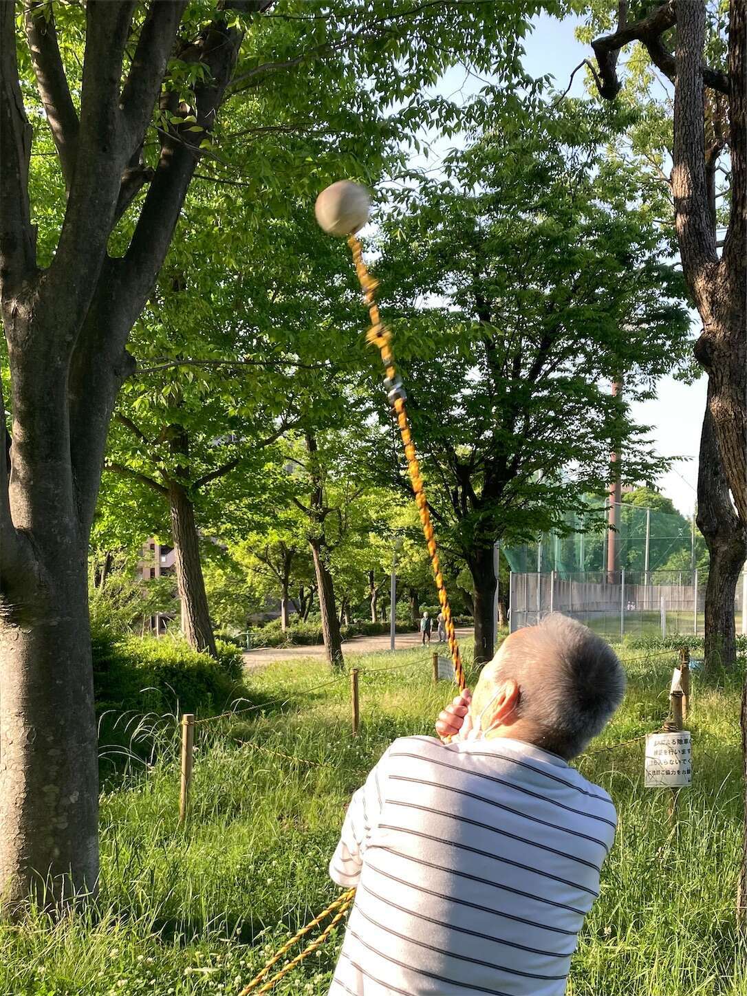 f:id:moomoon6355:20240518143823j:image f:id:moomoon6355:20240518143823j:image